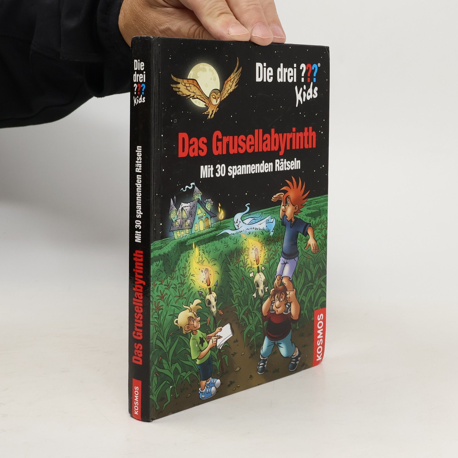 Ulf Blanck Das Grusellabyrinth