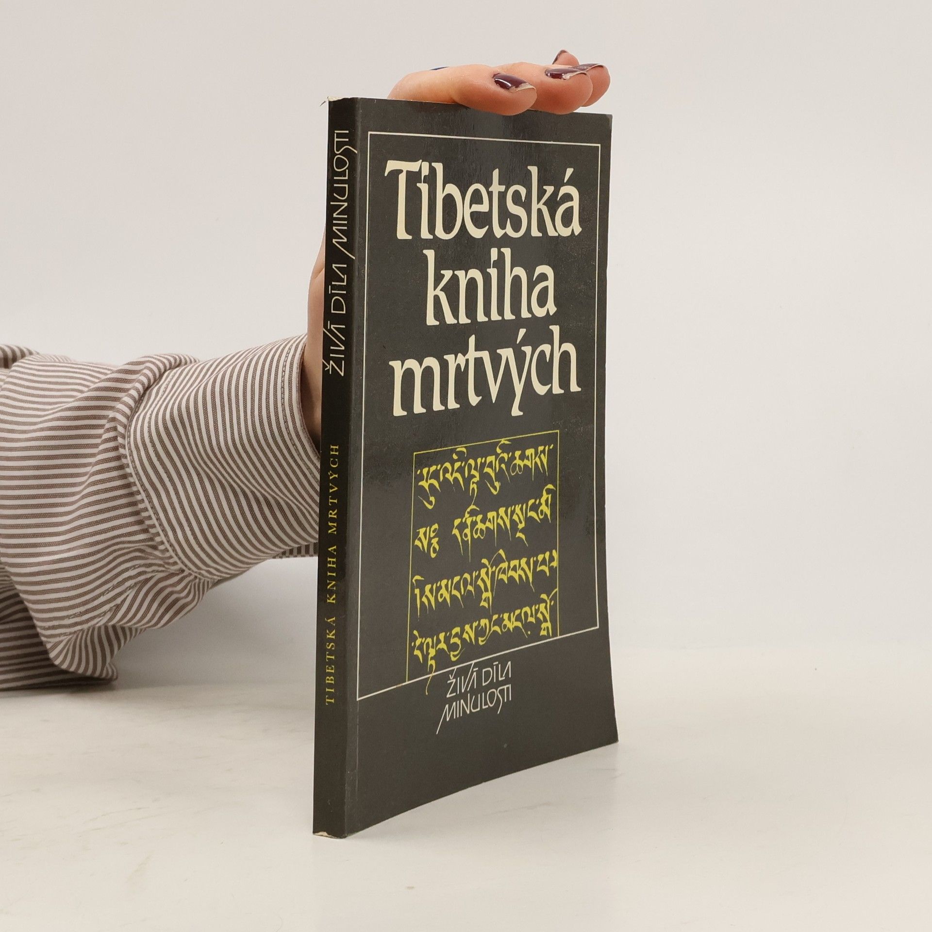 Kolektiv autorů Tibetská kniha mrtvých