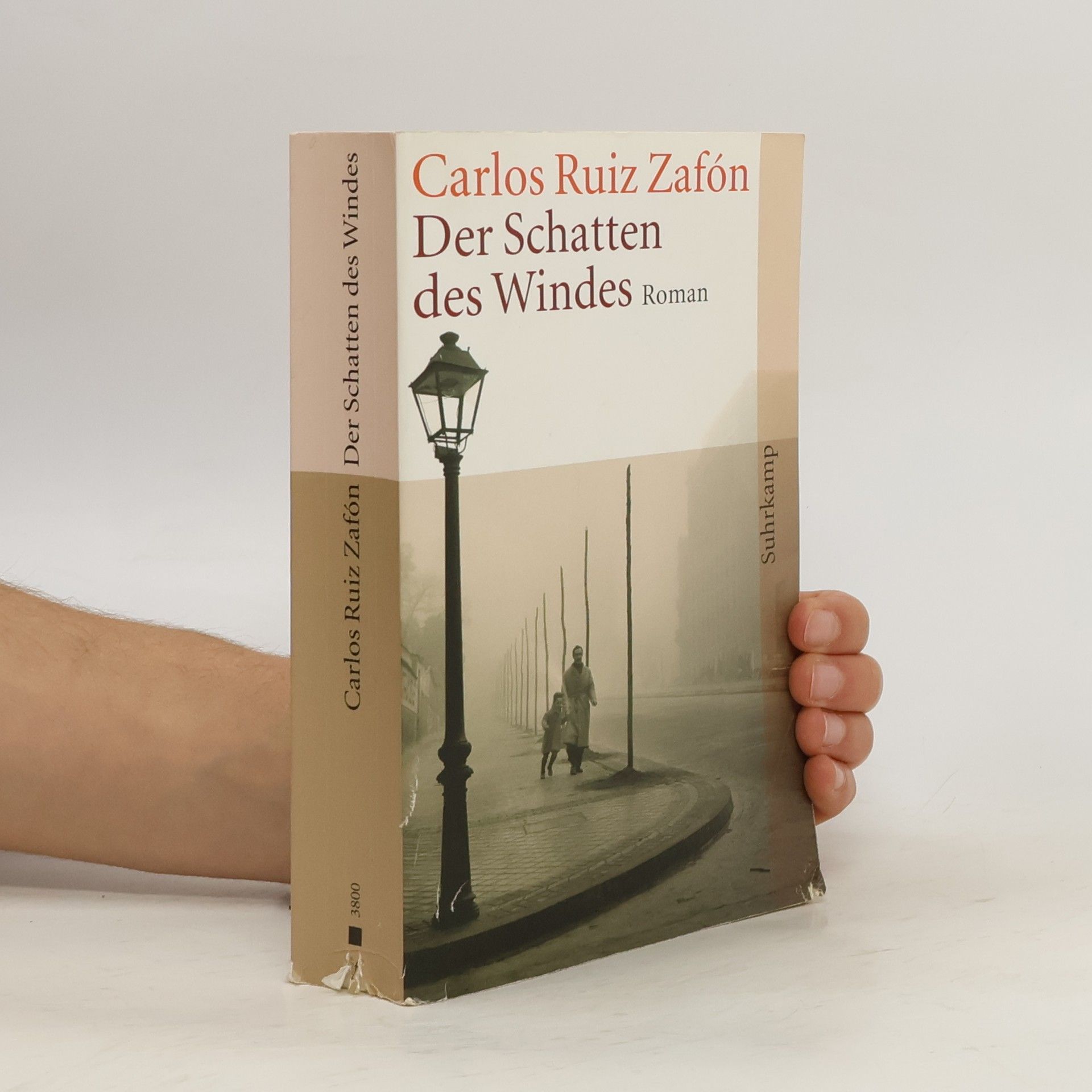 Der Schatten des Windes