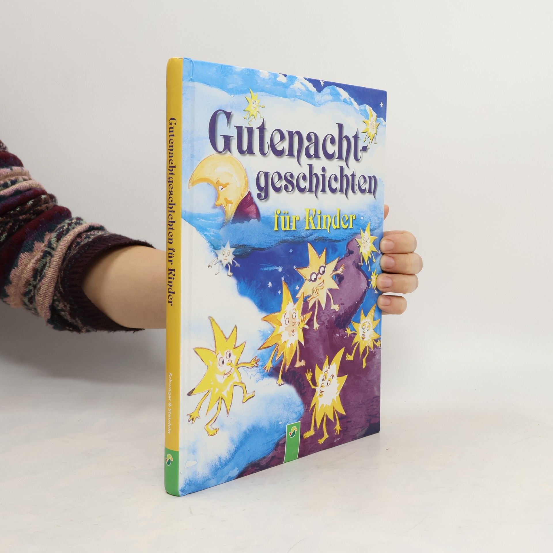 Autores varios Gutenachtgeschichten für Kinder