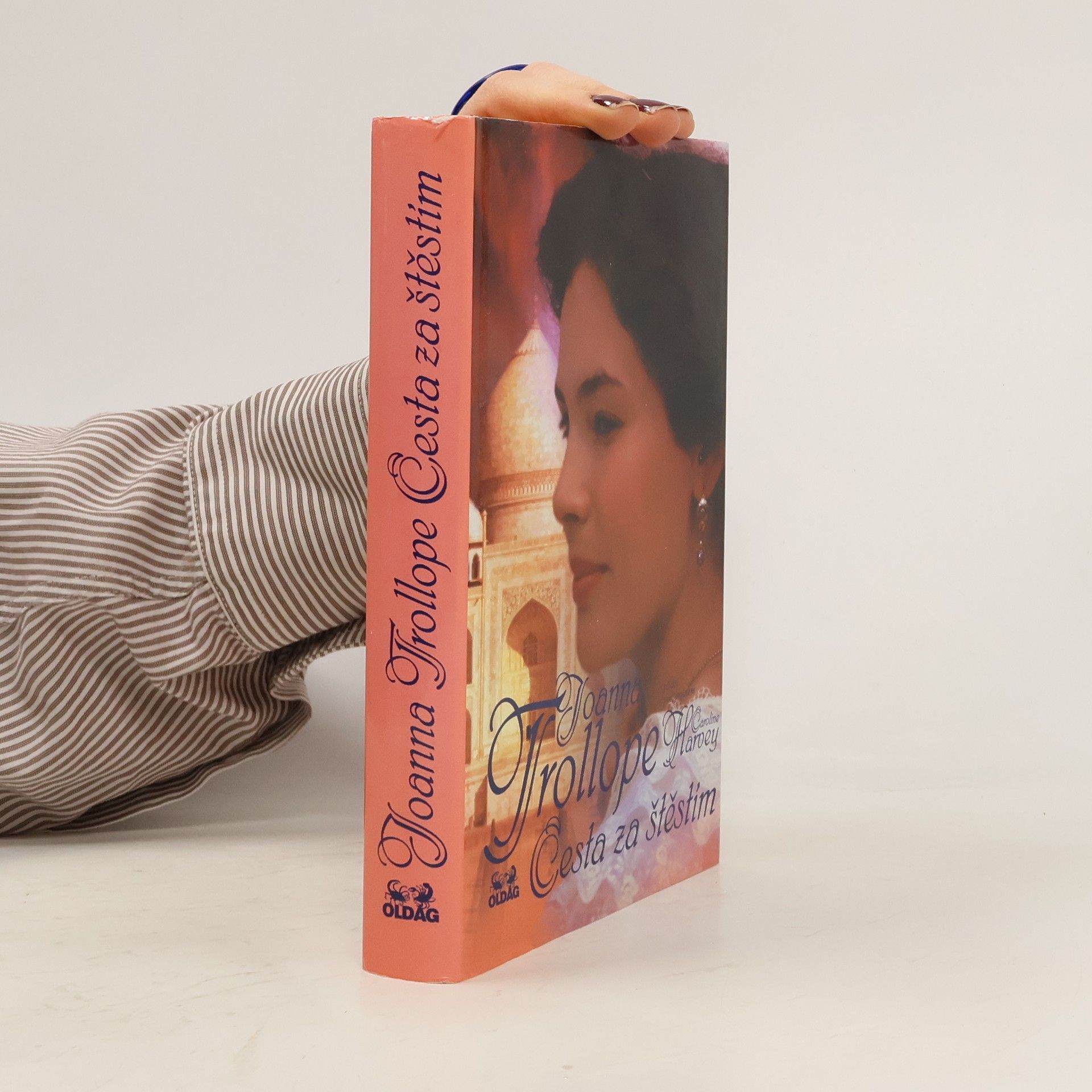 Joanna Trollope Cesta za štěstím