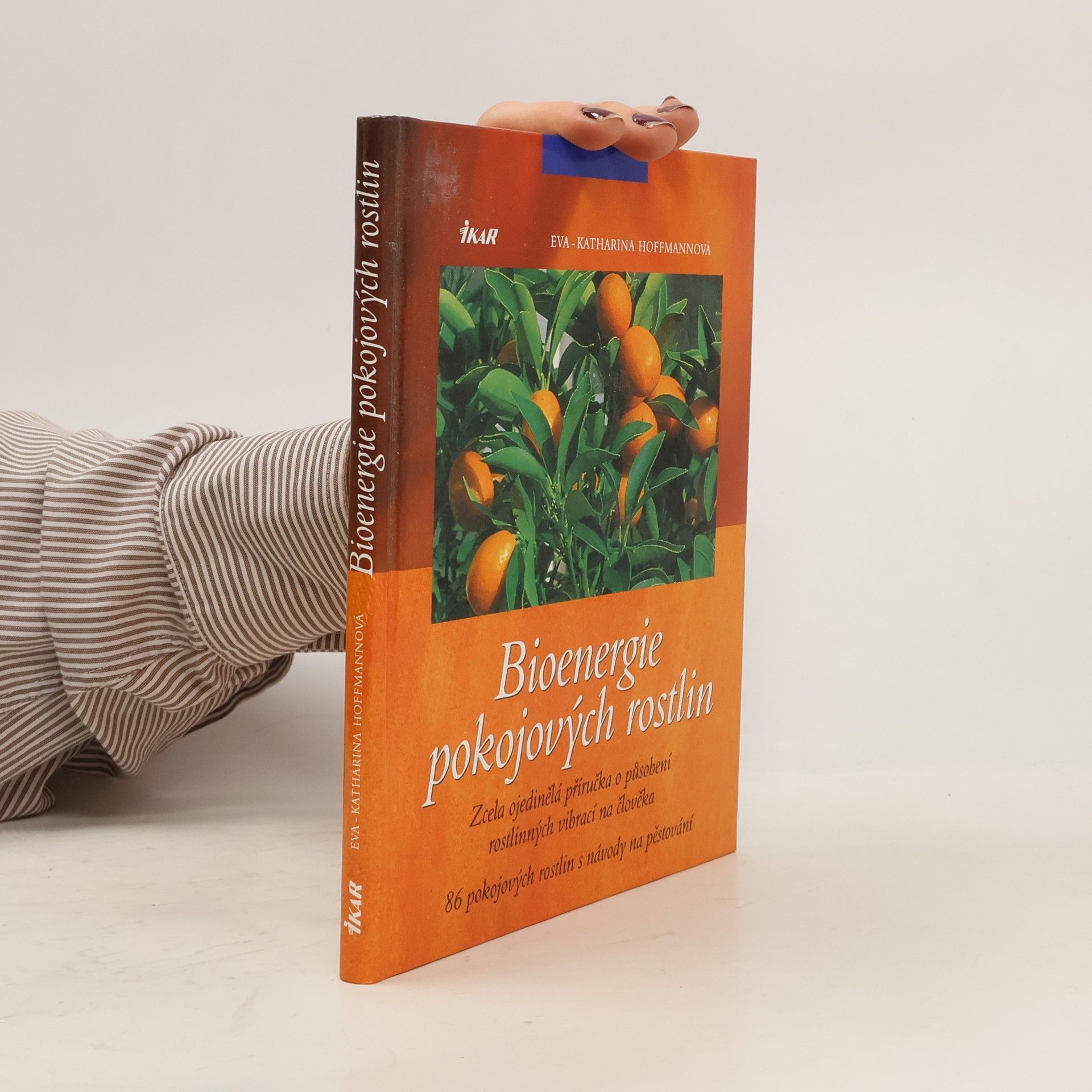 Eva Katharina Hoffmann Bioenergie pokojových rostlin