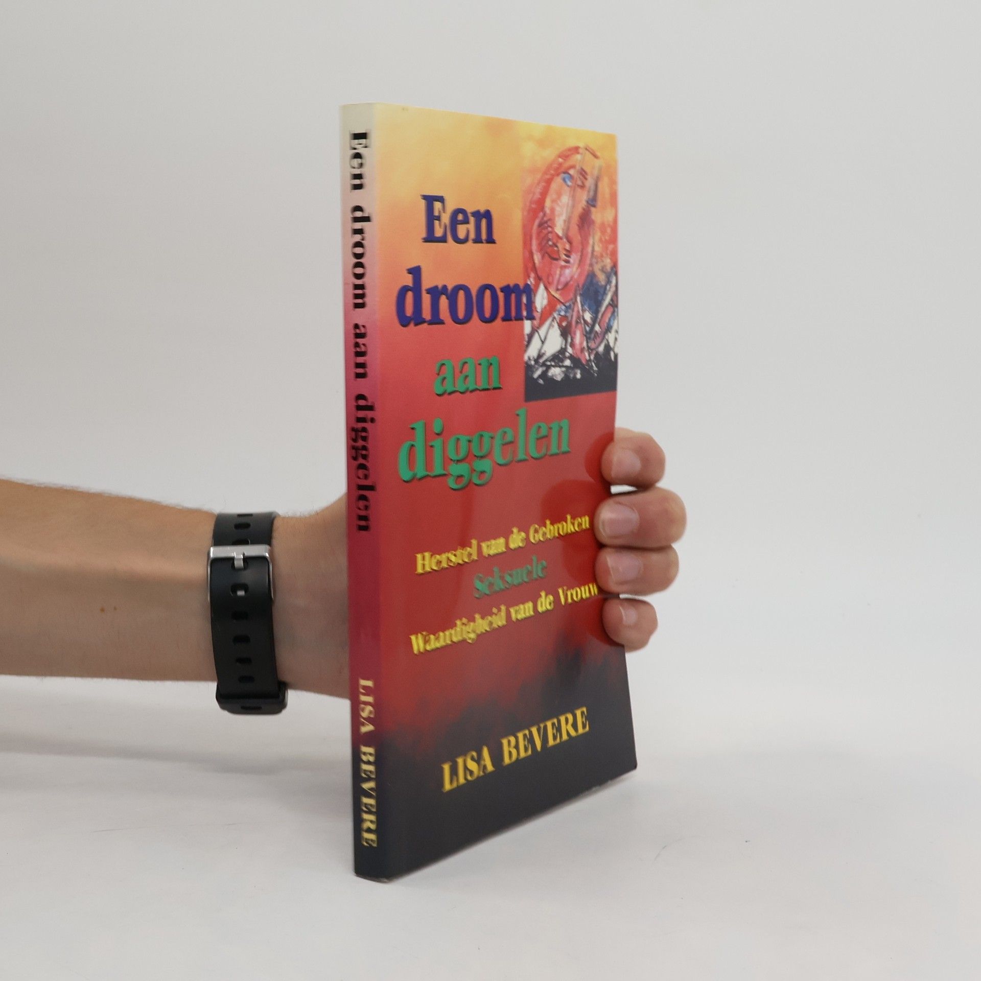 Een droom aan diggelen