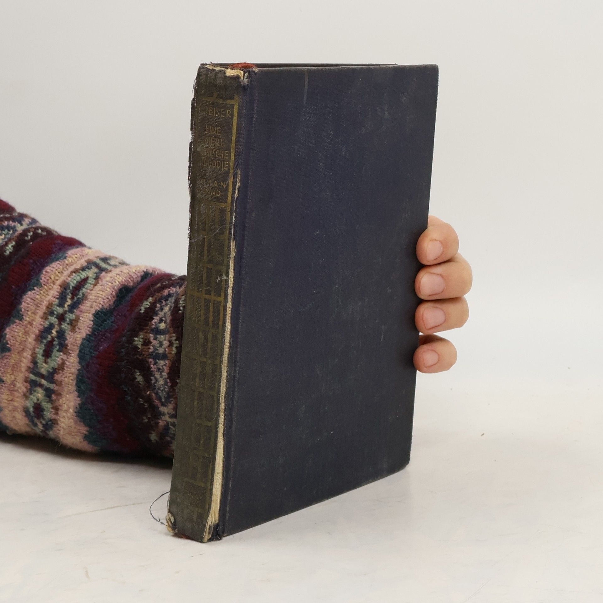 Theodore Dreiser Eine amerikanische Tragödie I.