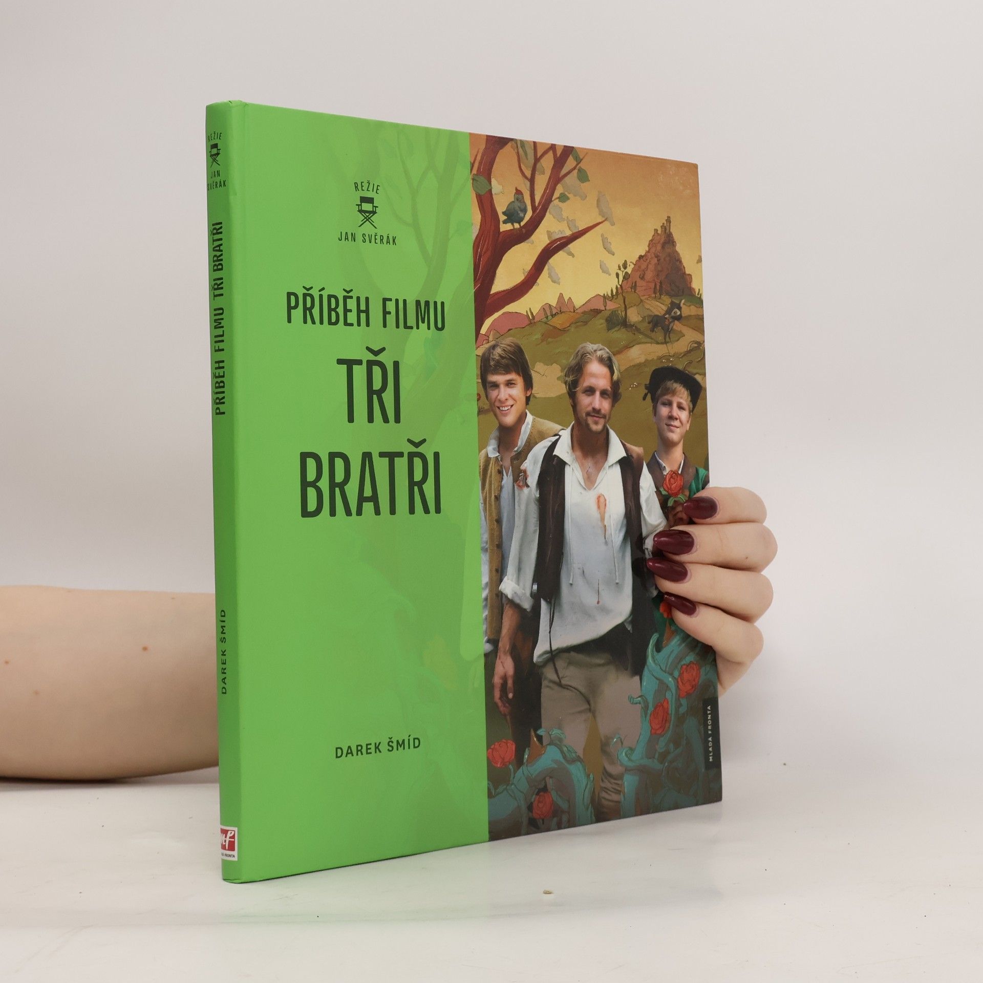 Darek Šmíd Příběh filmu Tři bratři