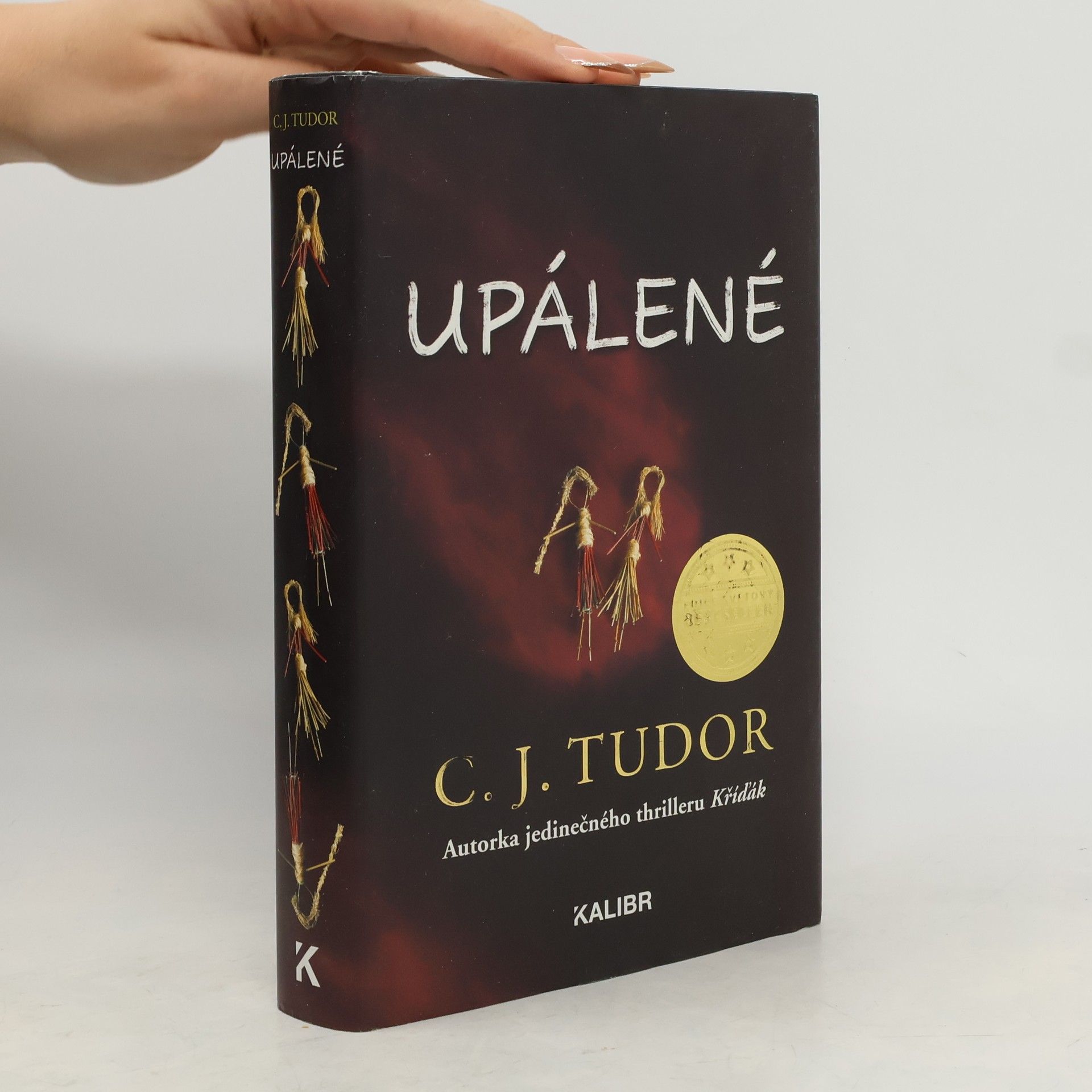 C. J. Tudor Upálené