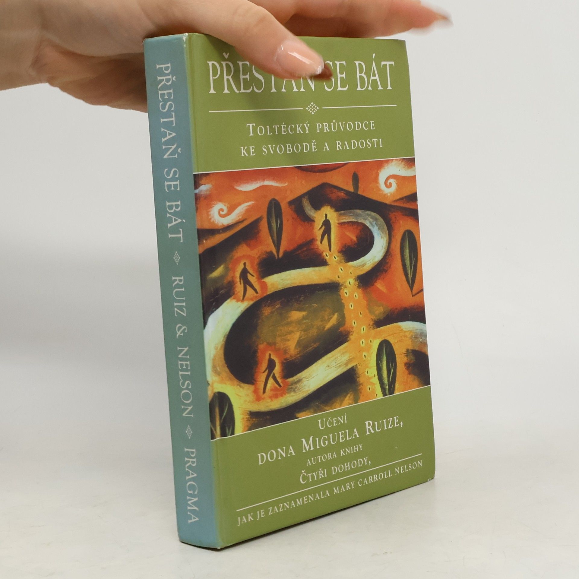 Mary Carroll Nelson Přestaň se bát