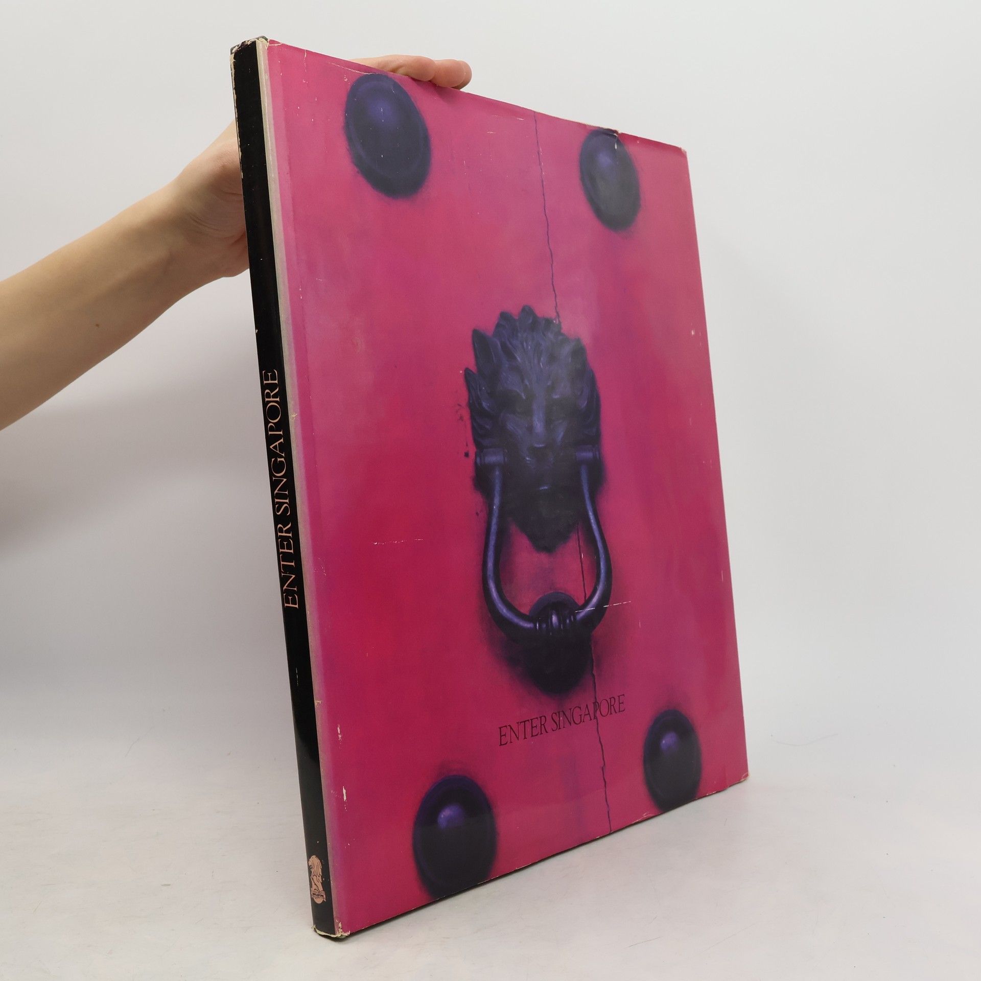 Kolektiv autorů Enter Singapore