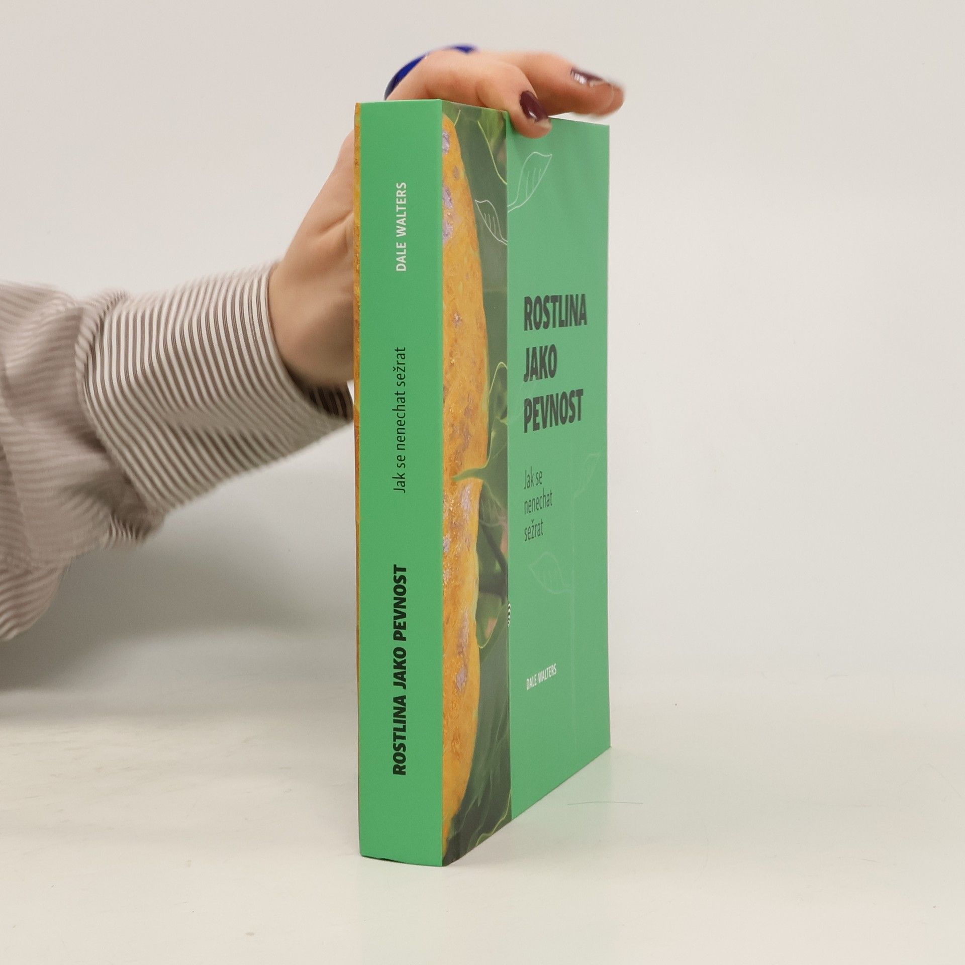 Rostlina jako pevnost. Jak se nenechat sežrat