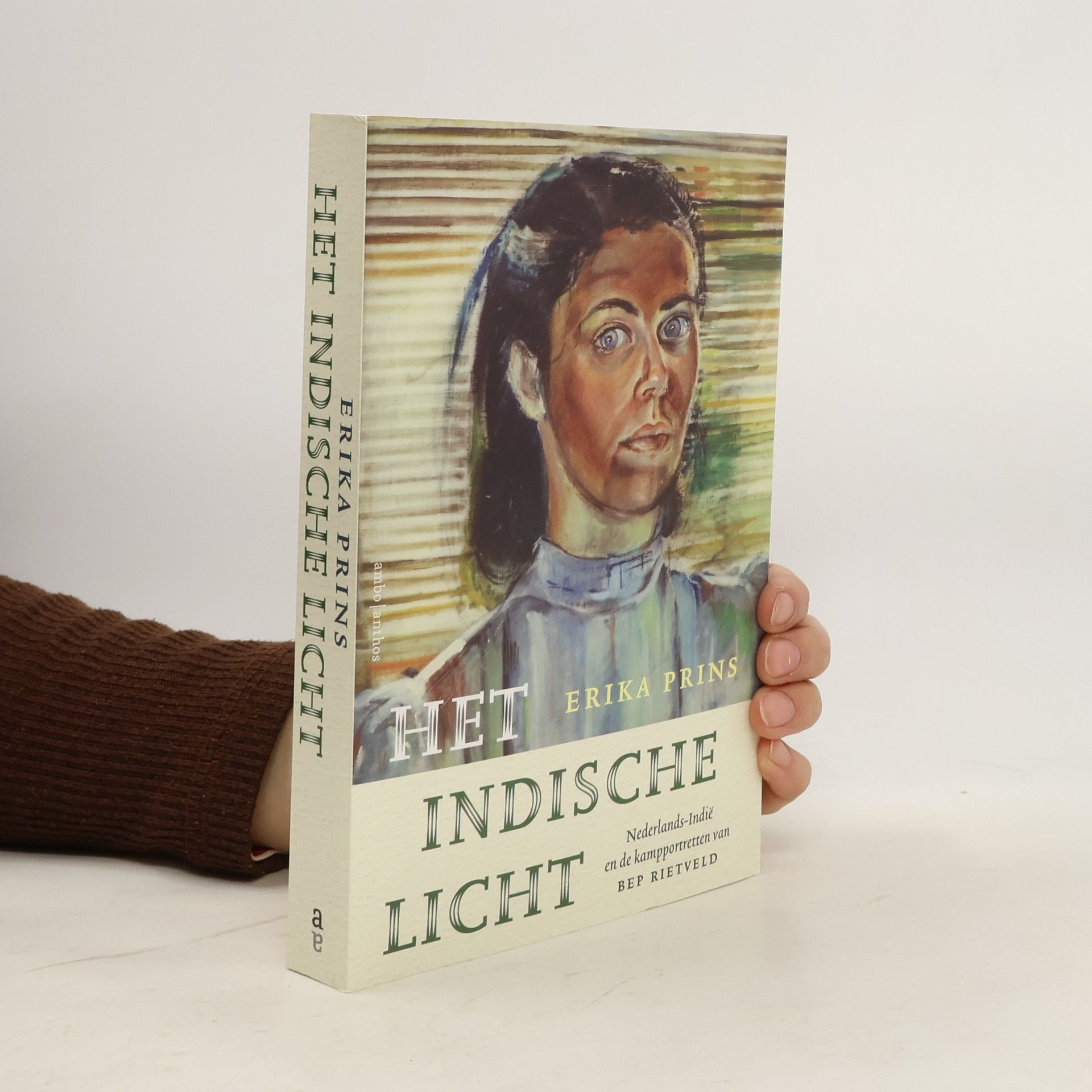 Erika Prins Het Indische licht