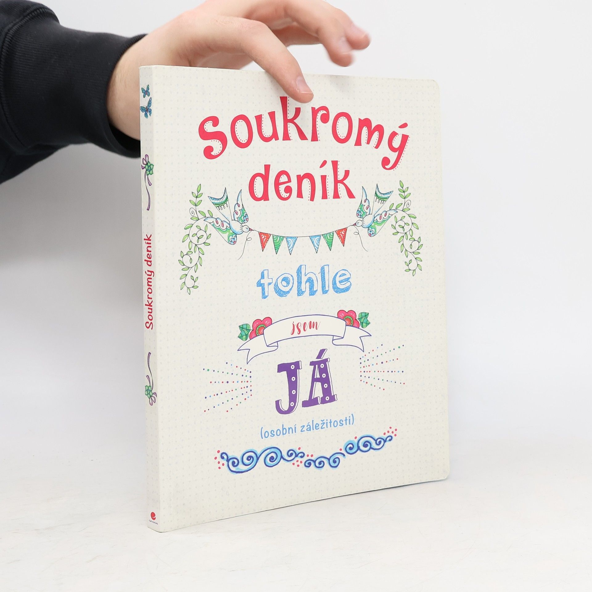 Cindy Wilde Soukromý deník