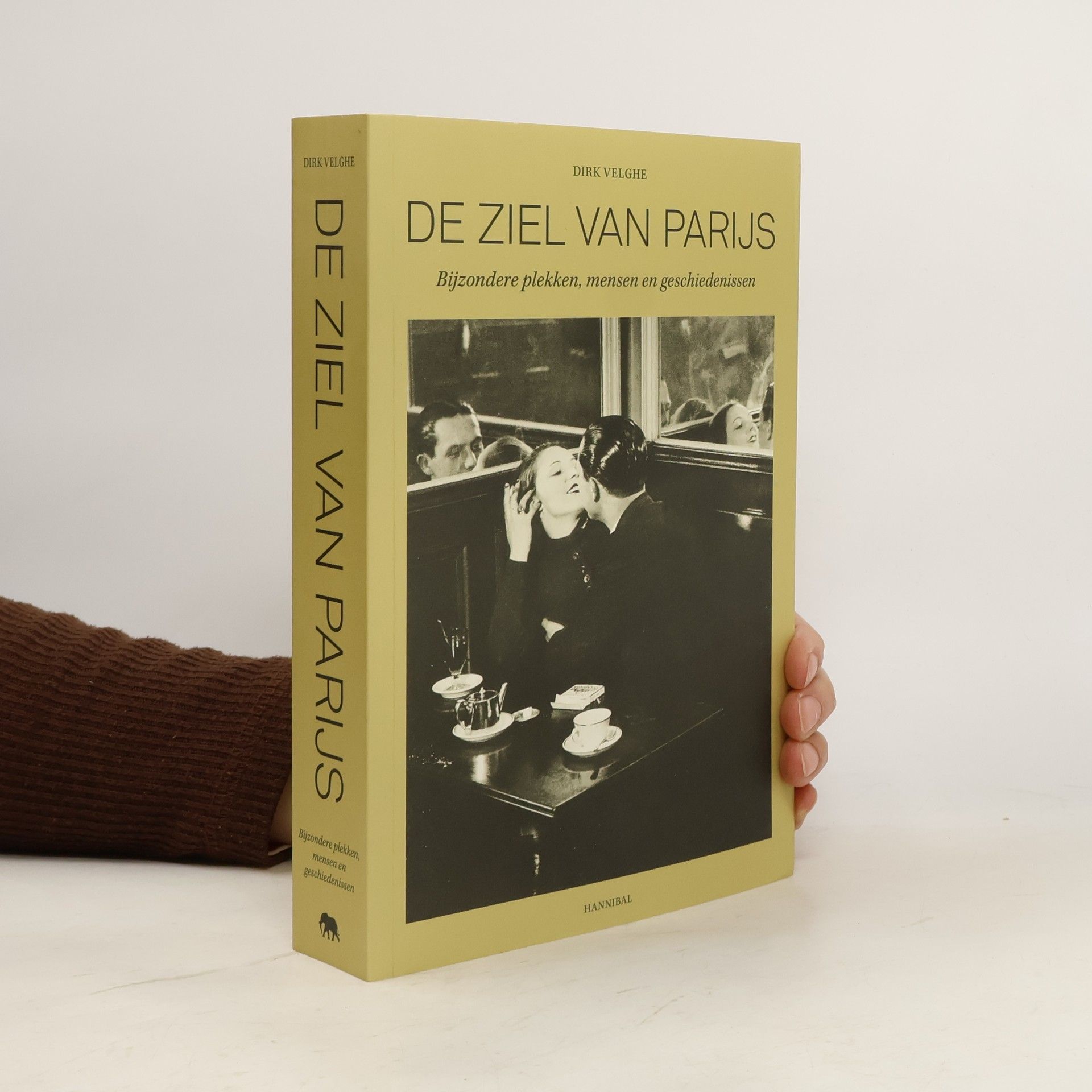 Dirk Velghe De ziel van Parijs