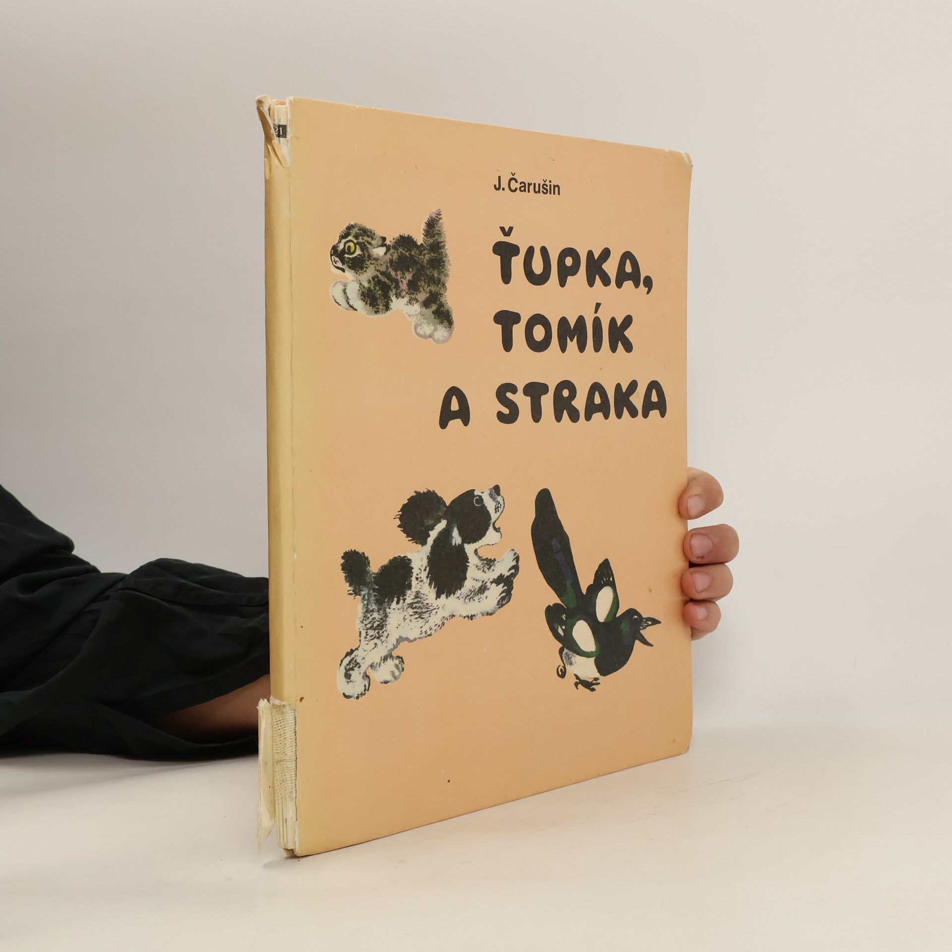 Ťupka, Tomík a straka