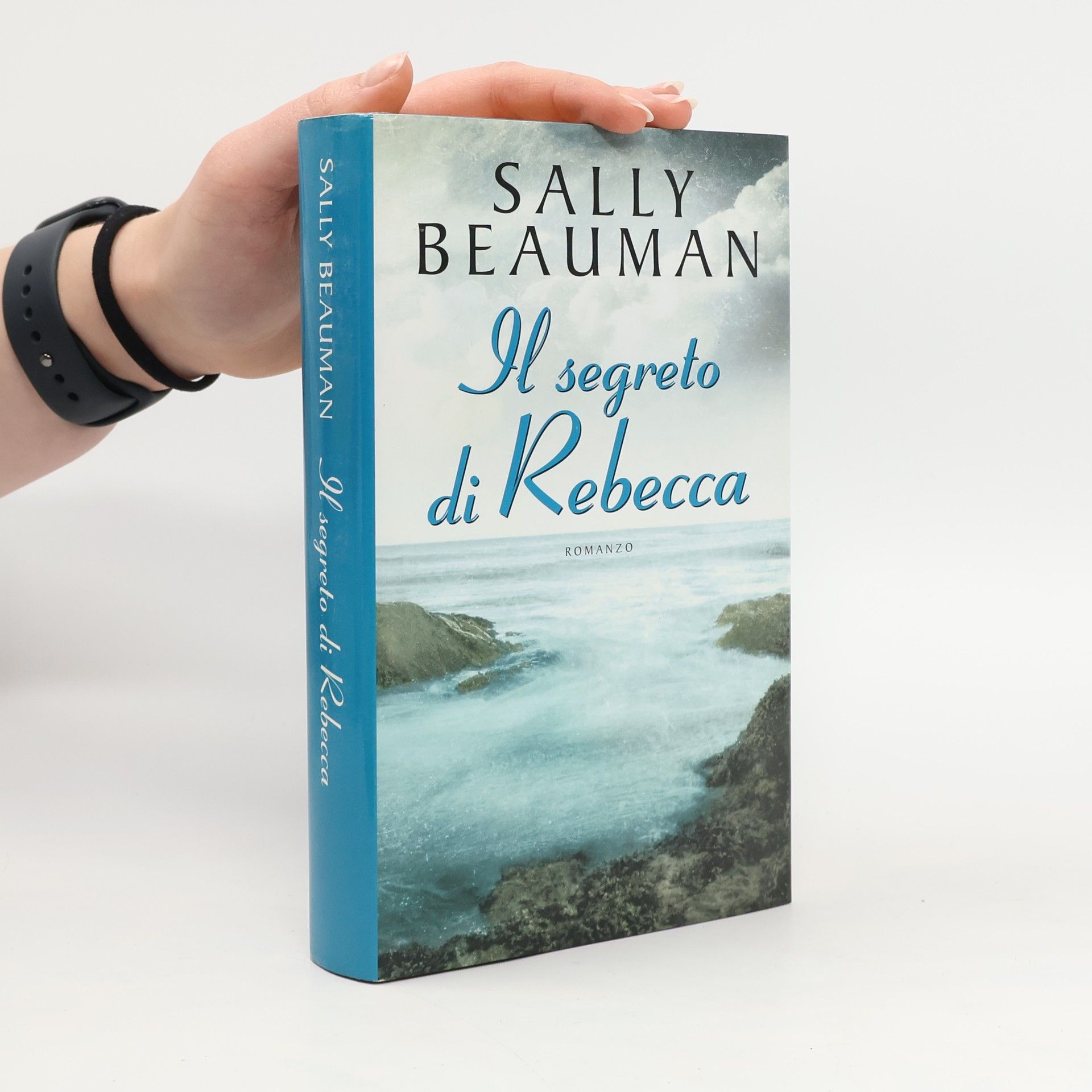 Sally Beauman Il segreto di Rebecca