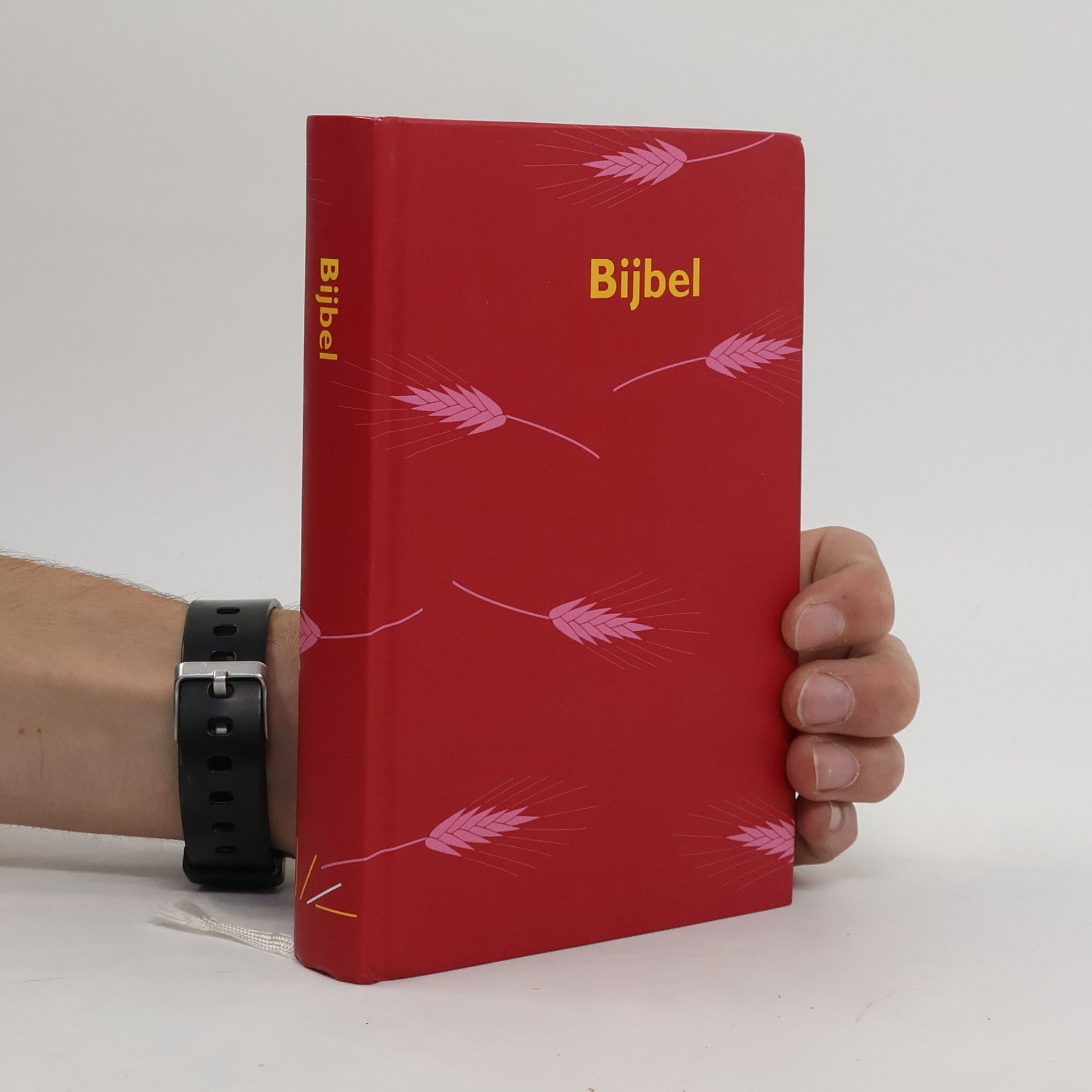 Auteurscollectief Bijbel