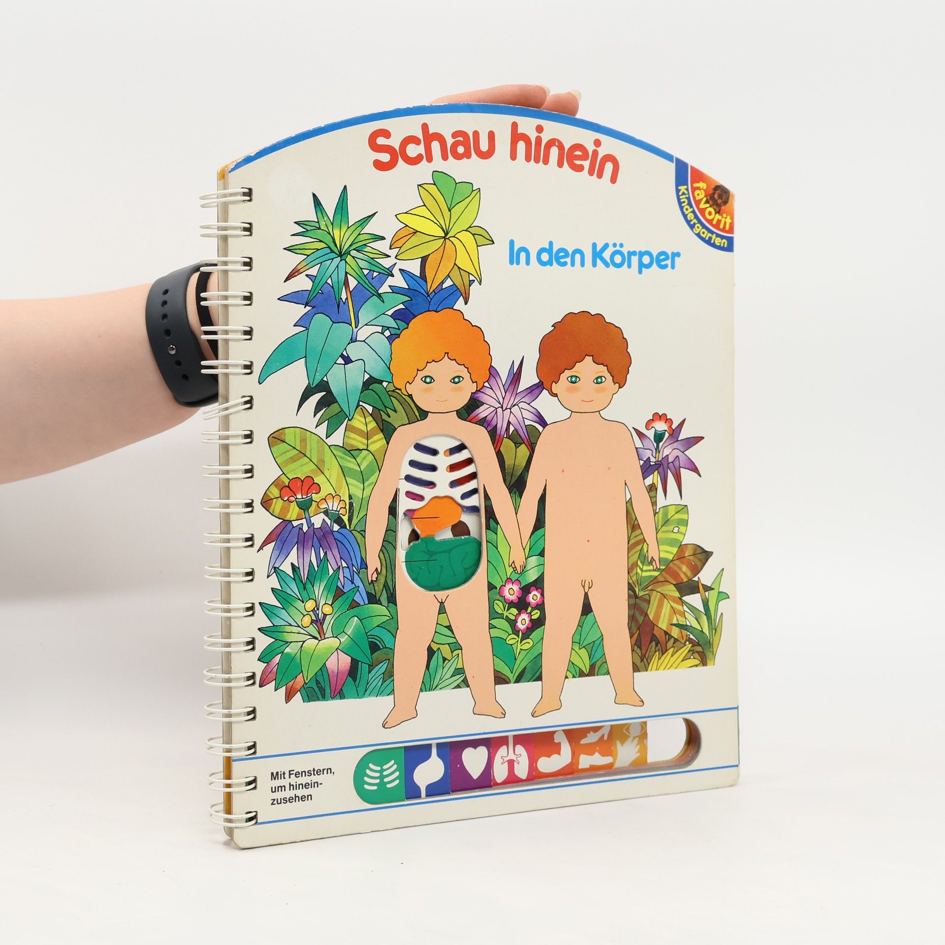 Schau hinein in den Körper