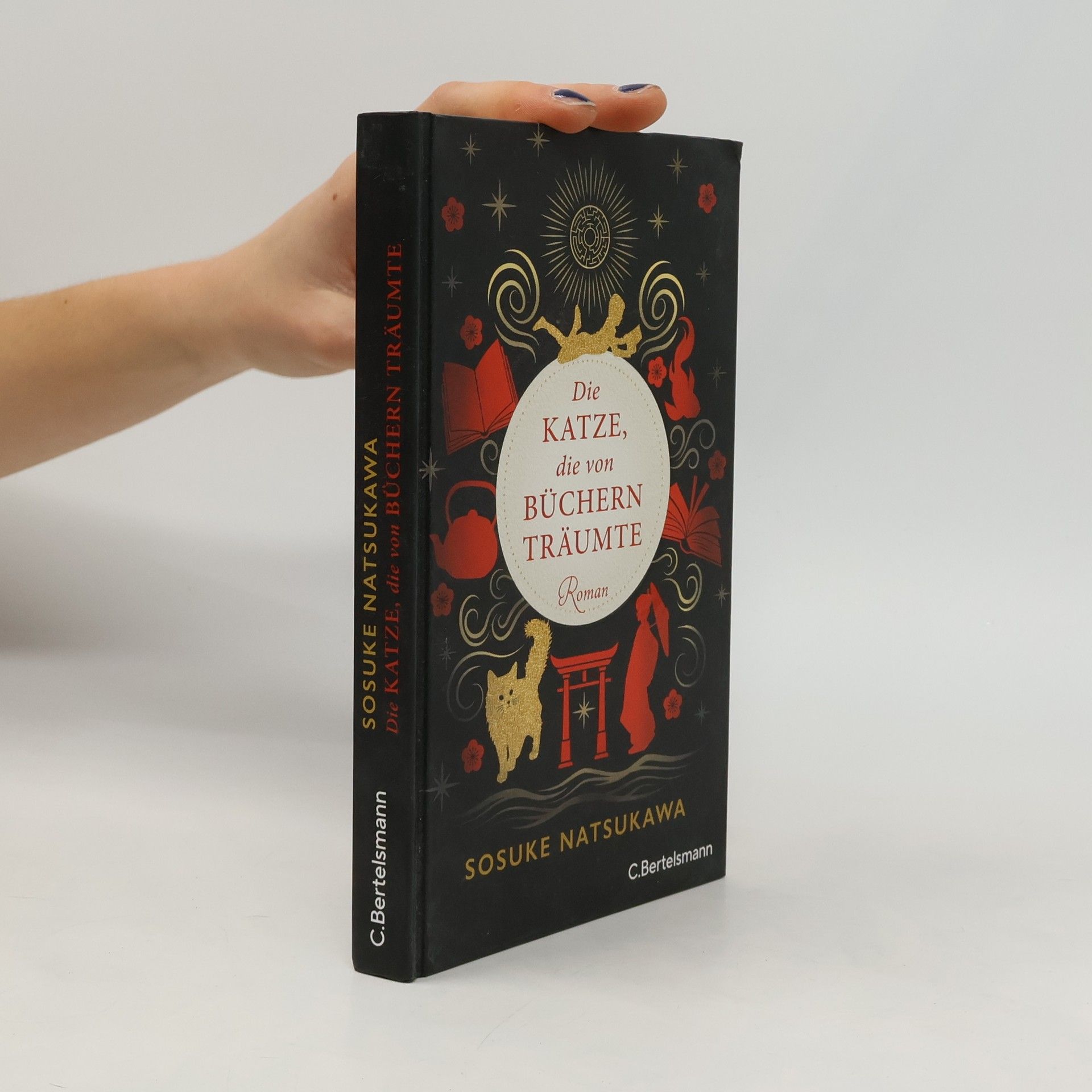 Sōsuke Natsukawa Die Katze, die von Büchern träumte