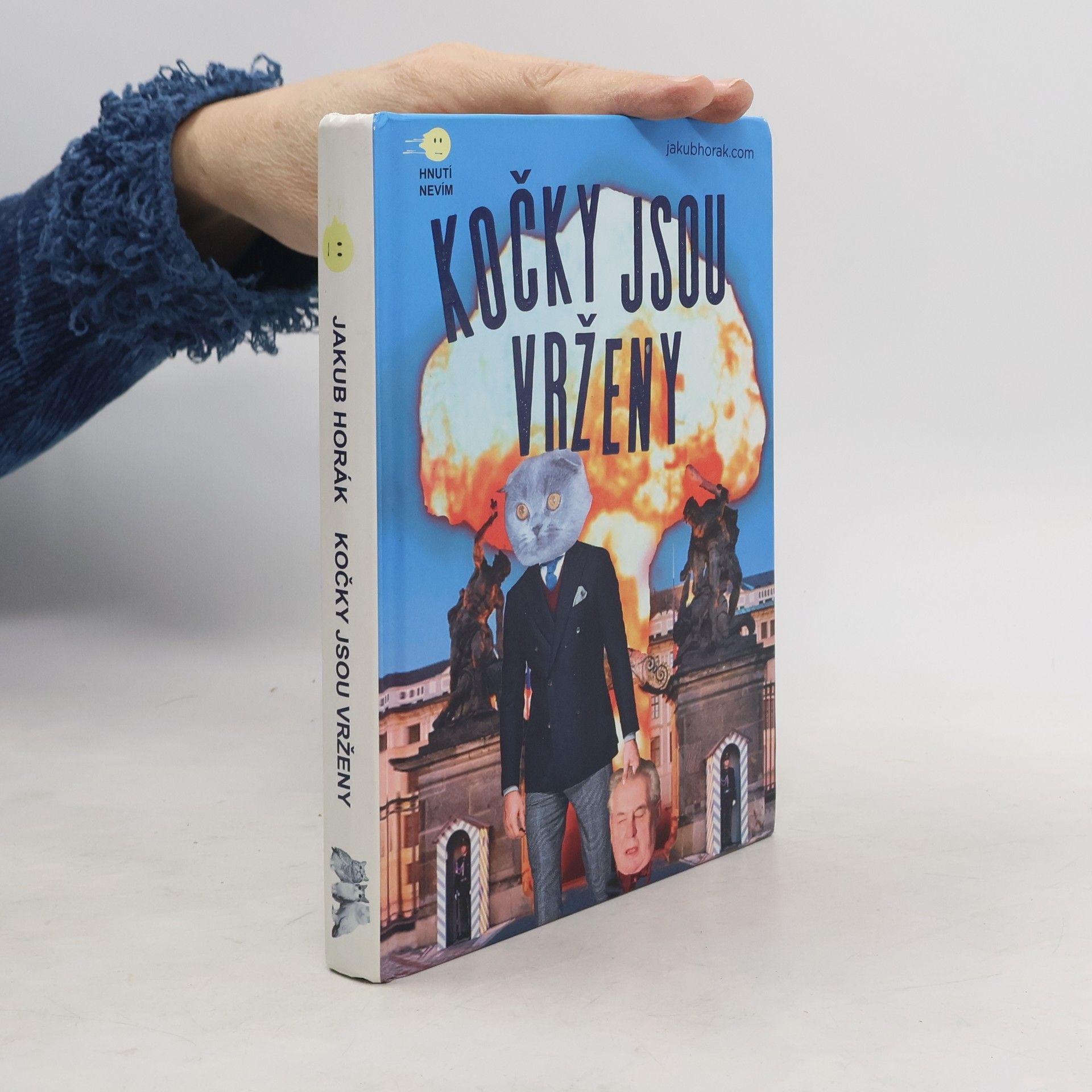 Kočky jsou vrženy: Fantastický román