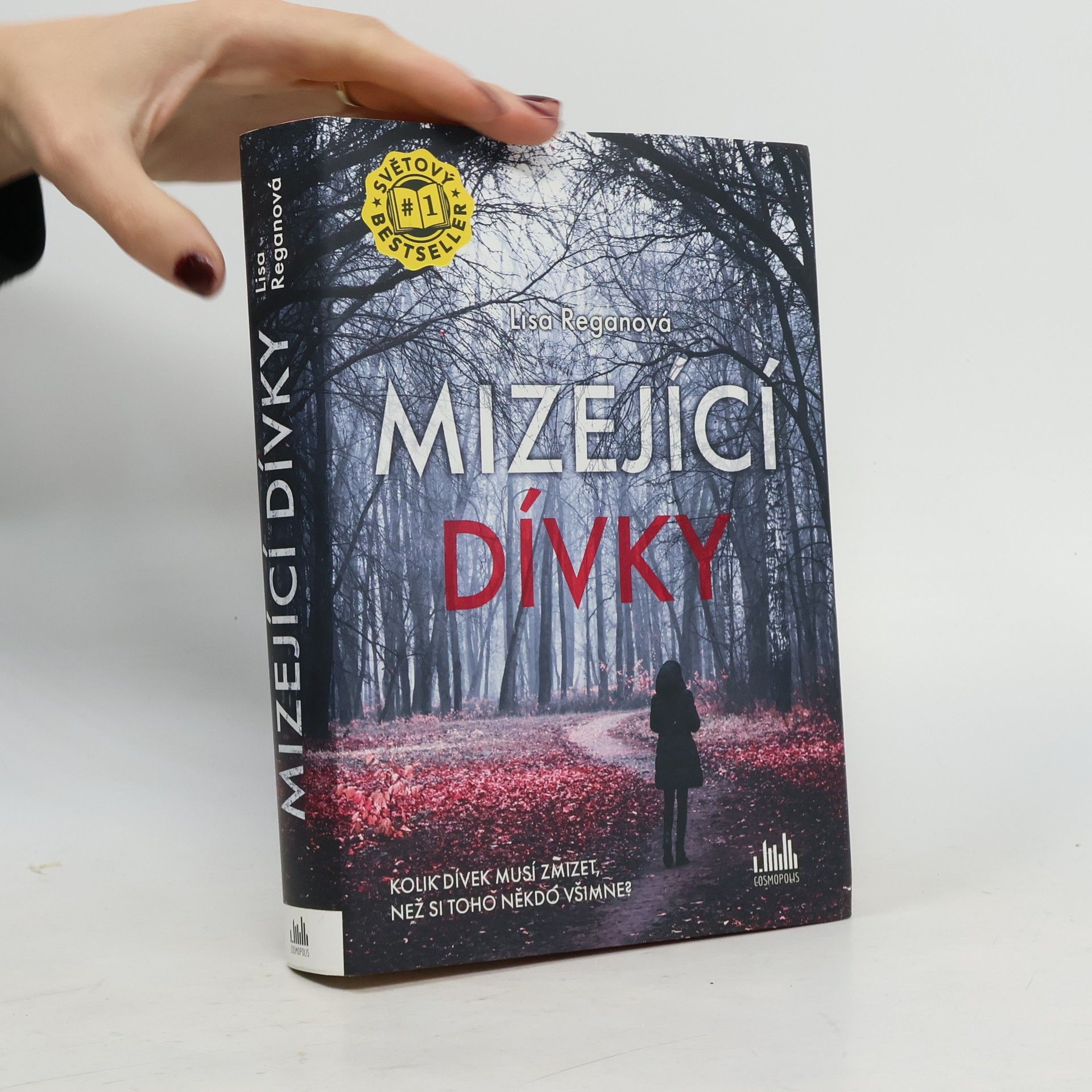 Lisa Regan Mizející dívky