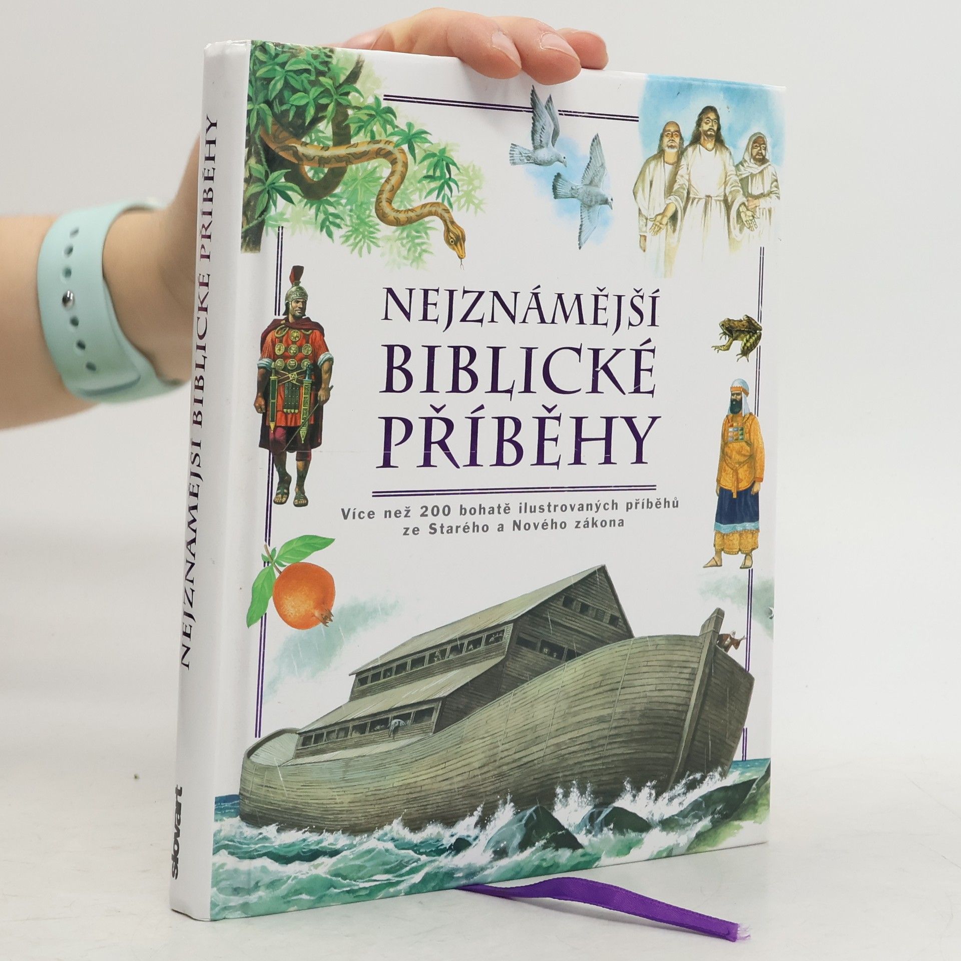 Collectif d'auteurs Nejznámější biblické příběhy