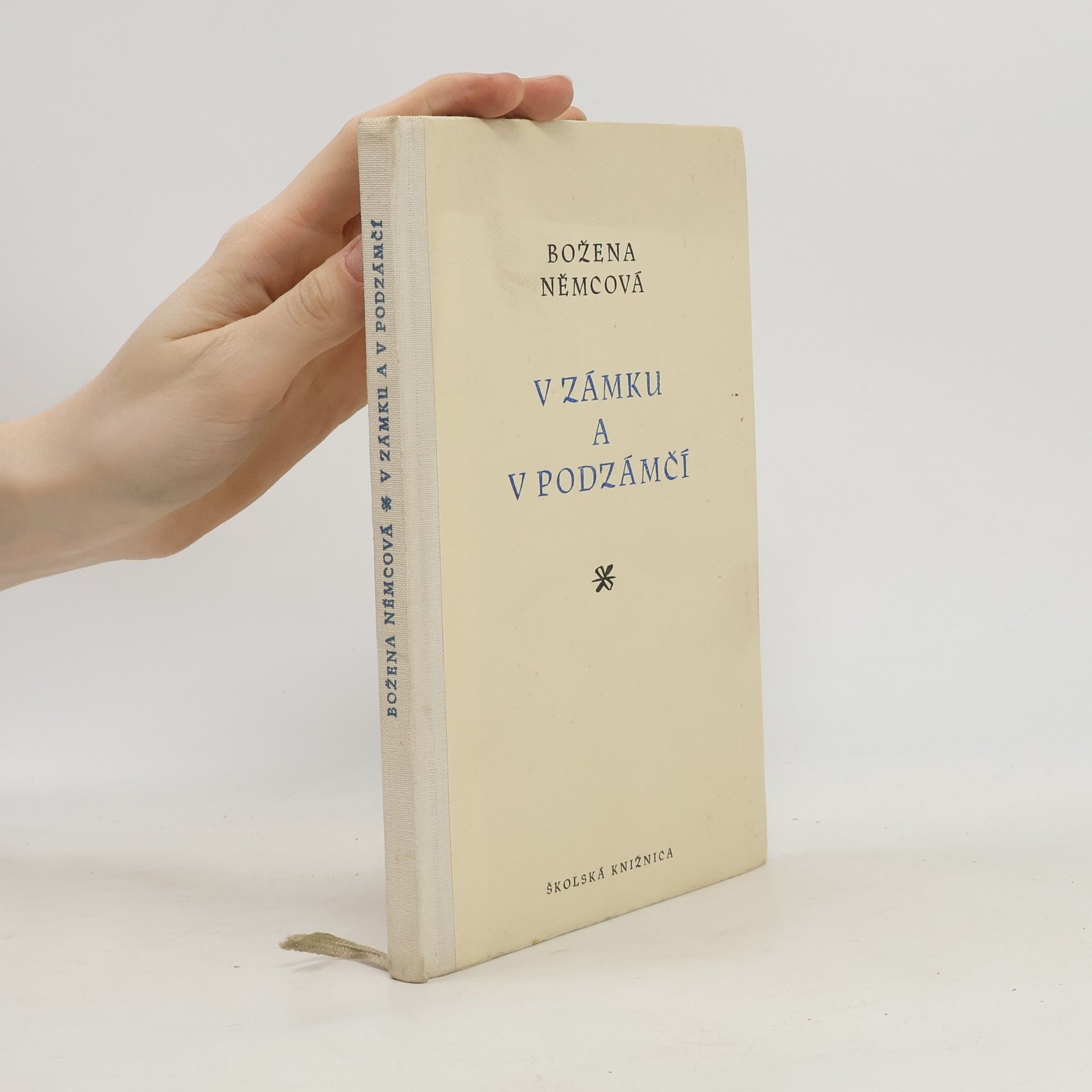 V zámku a podzámčí