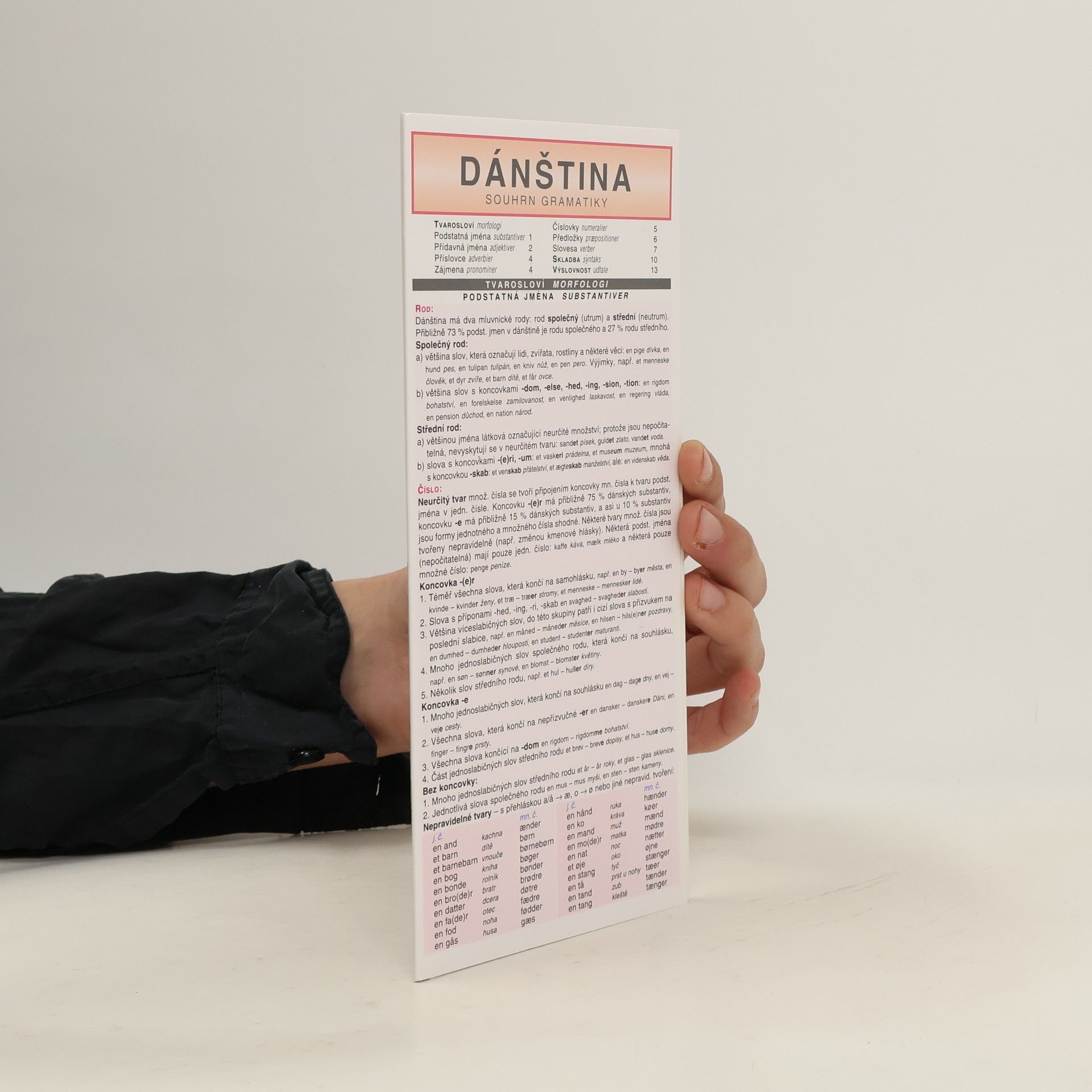 Collectif d'auteurs Dánština : souhrn gramatiky