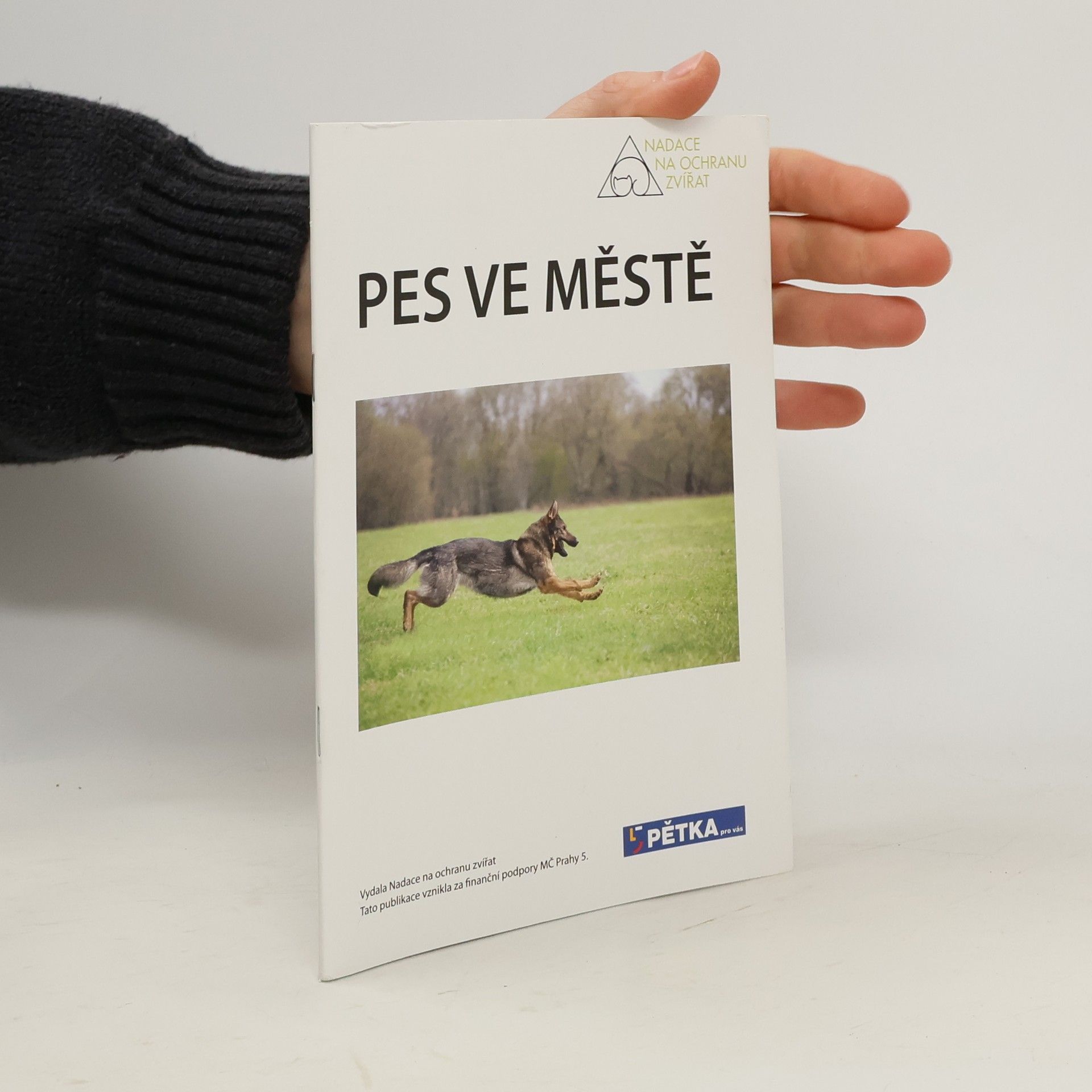 Autorenkollektiv Pes ve městě