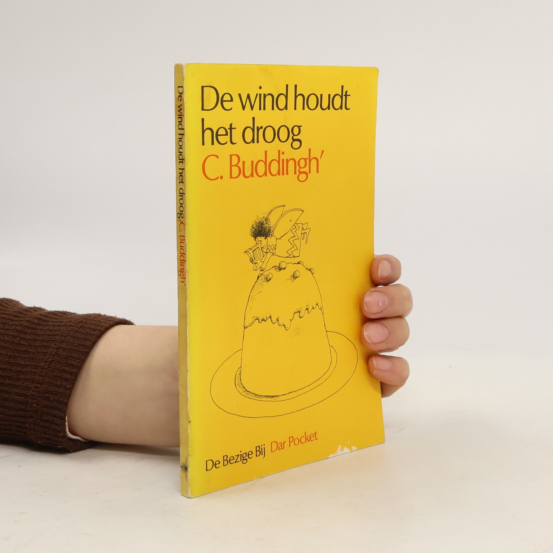 Cornelis Buddingh' De wind houdt het droog