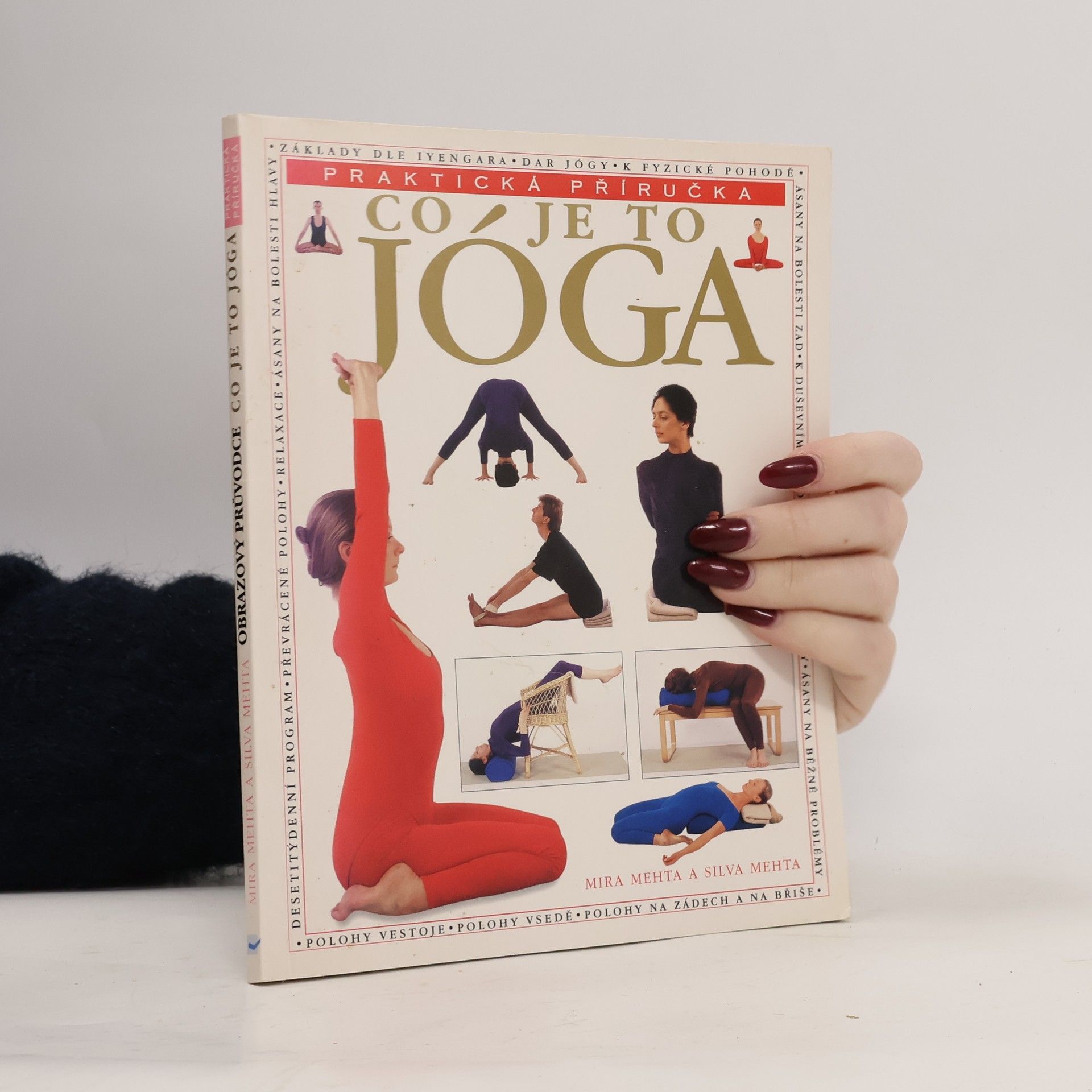 Co je to jóga. Praktická příručka