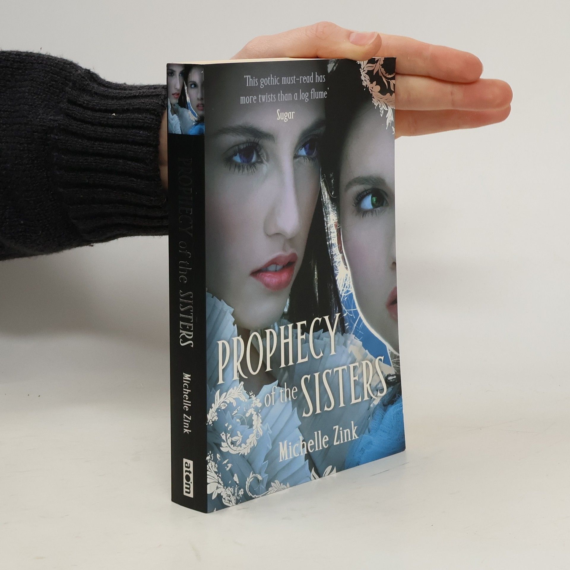 Michelle Zink The Prophecy of the Sisters