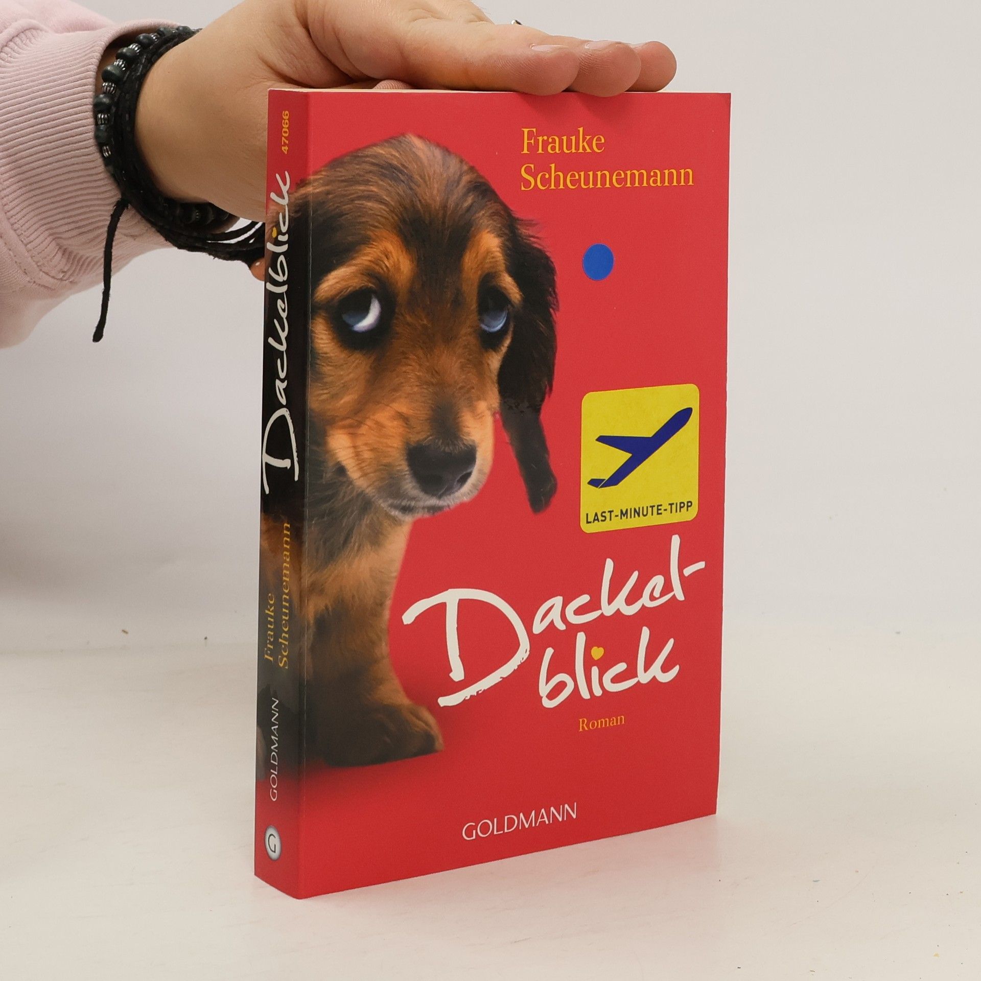 Frauke Scheunemann Dackelblick