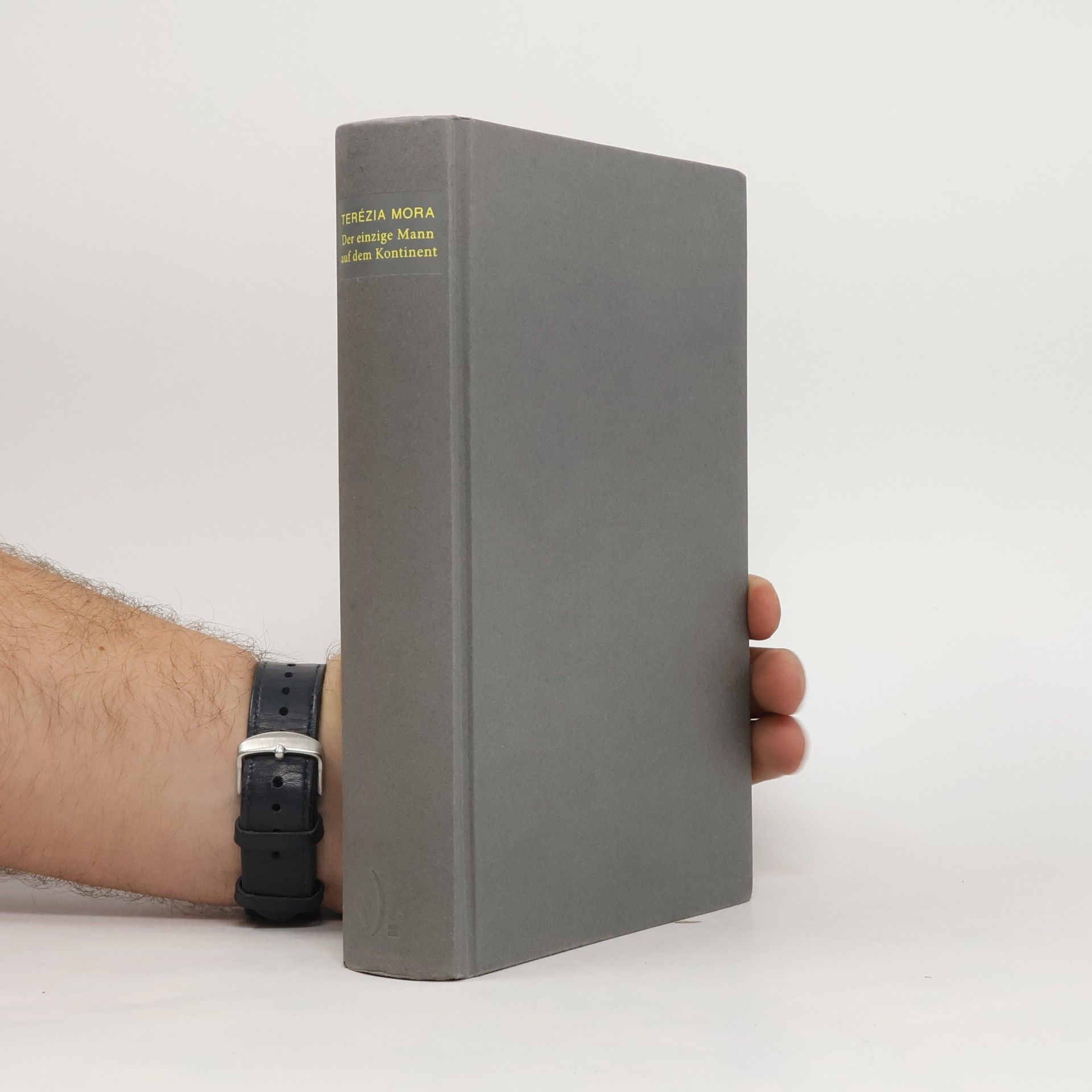 Terézia Mora Der einzige Mann auf dem Kontinent