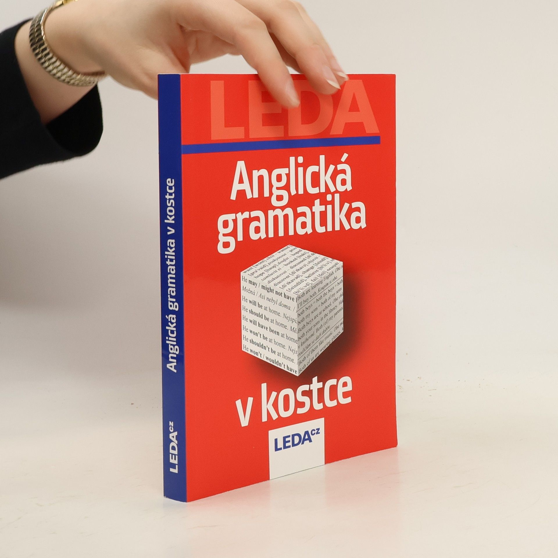 Collectif d'auteurs Anglická gramatika v kostce