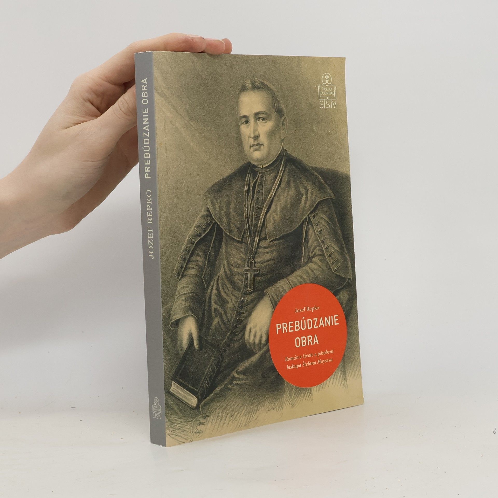Jozef Repko Prebúdzanie obra