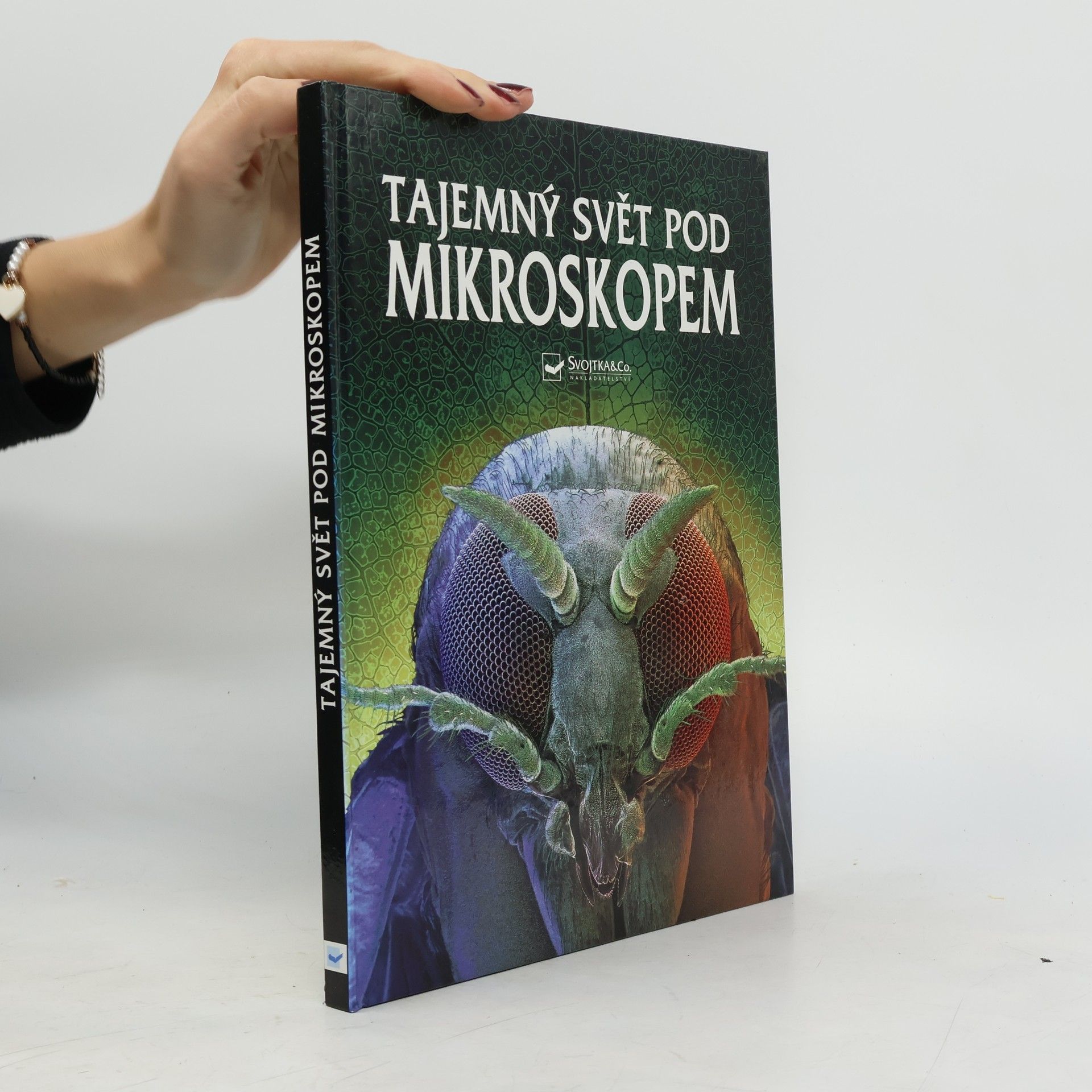 Kirsteen Rogers Tajemný svět pod mikroskopem