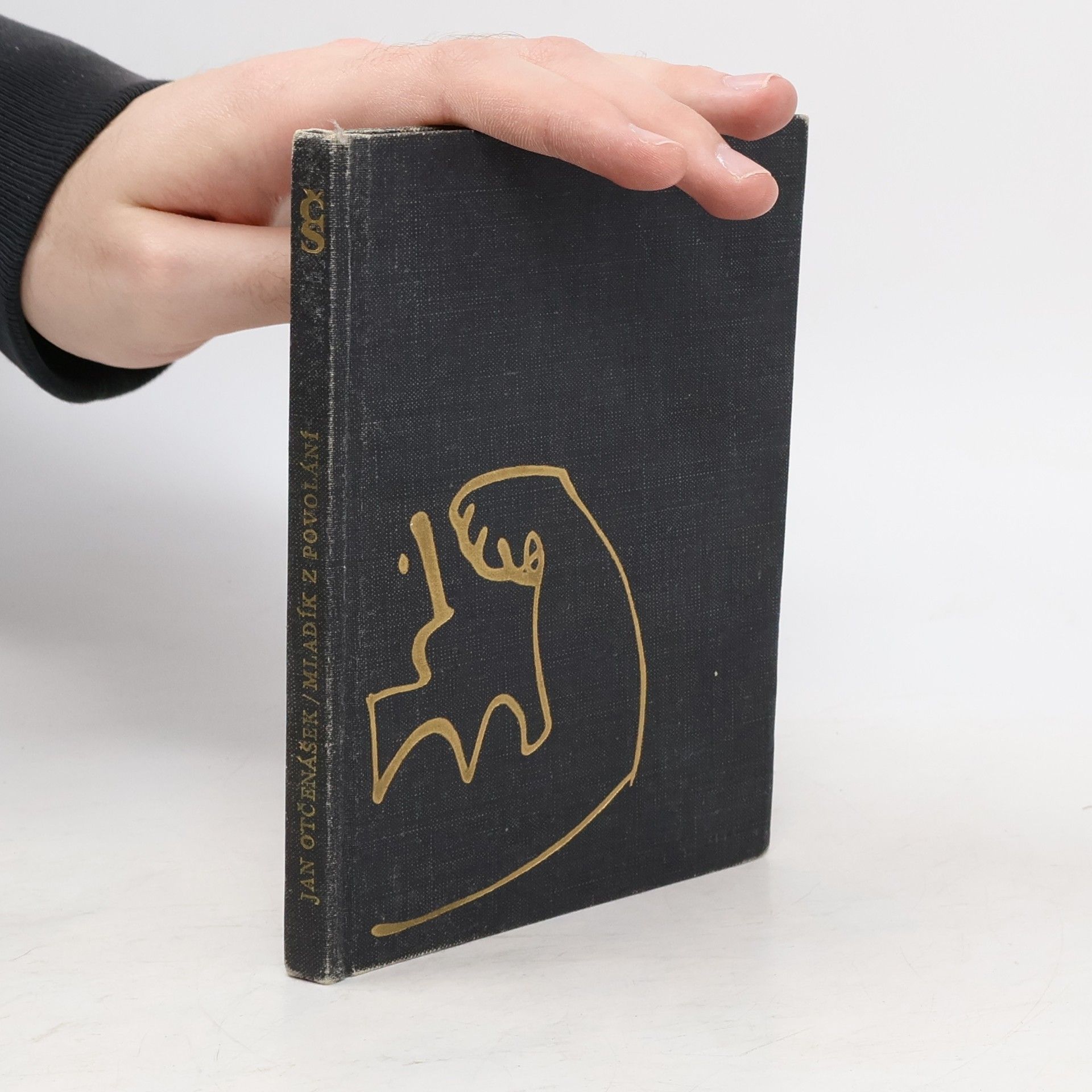 Jan Otčenášek Mladík z povolání