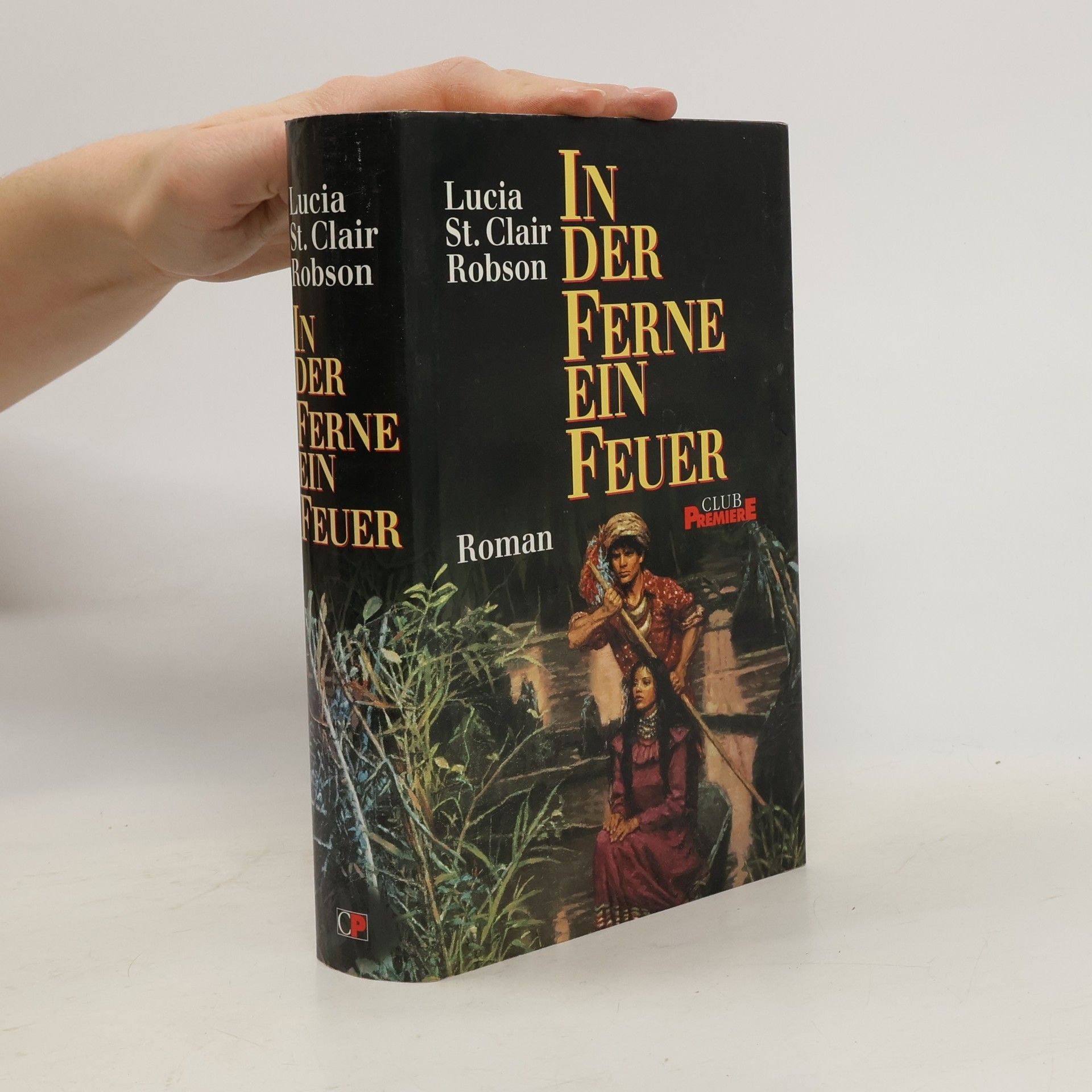 In Der Ferne Ein Feuer