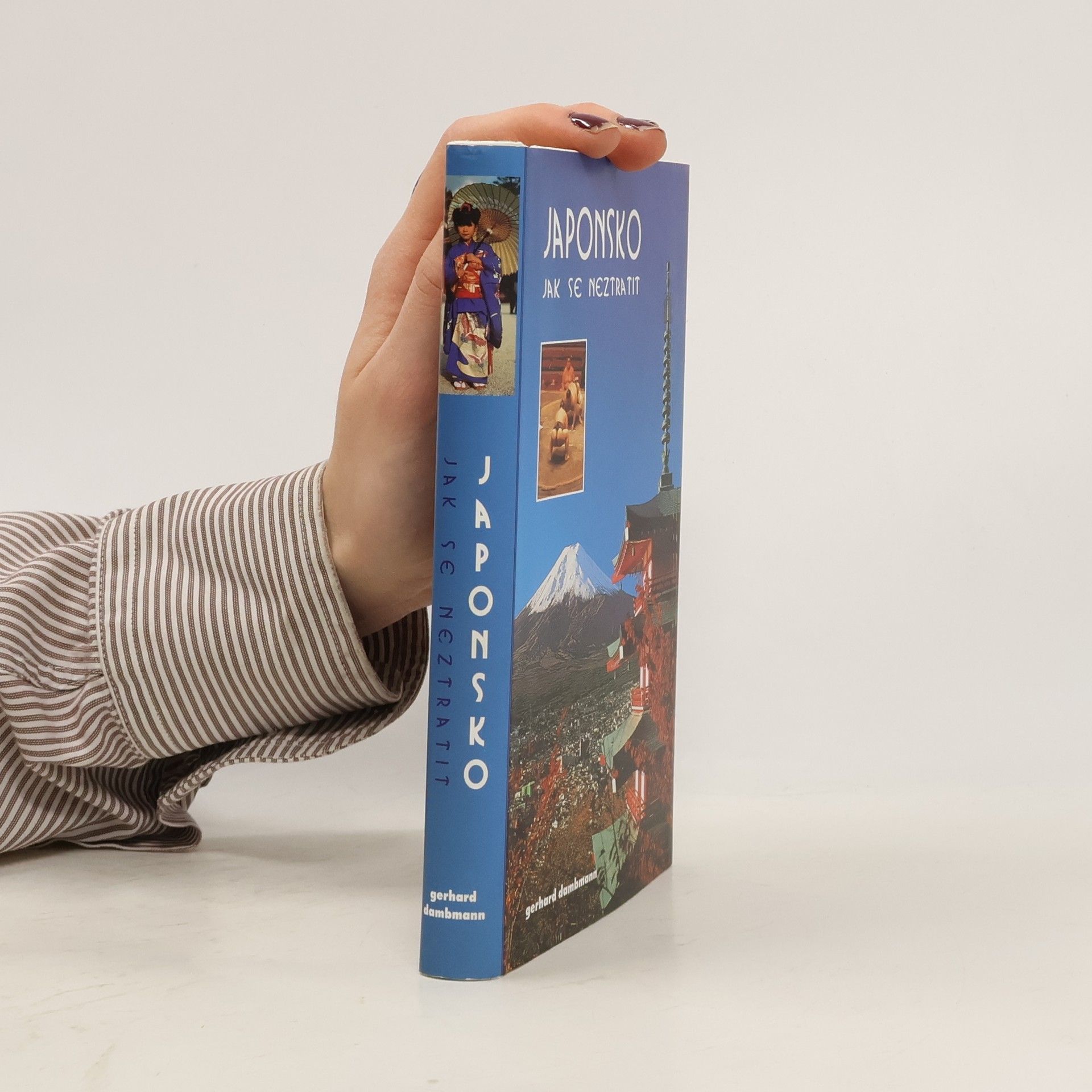 Gerhard Dambmann Japonsko. Jak se neztratit?