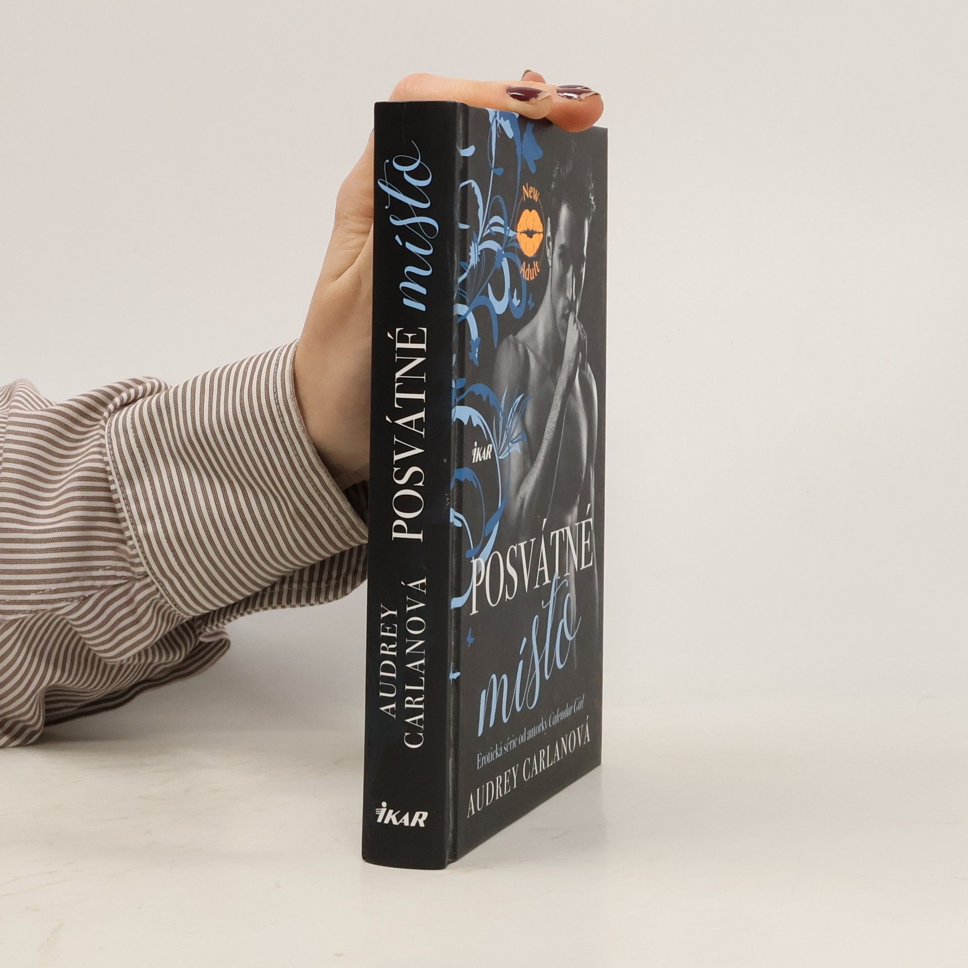 Audrey Carlan Posvátné místo