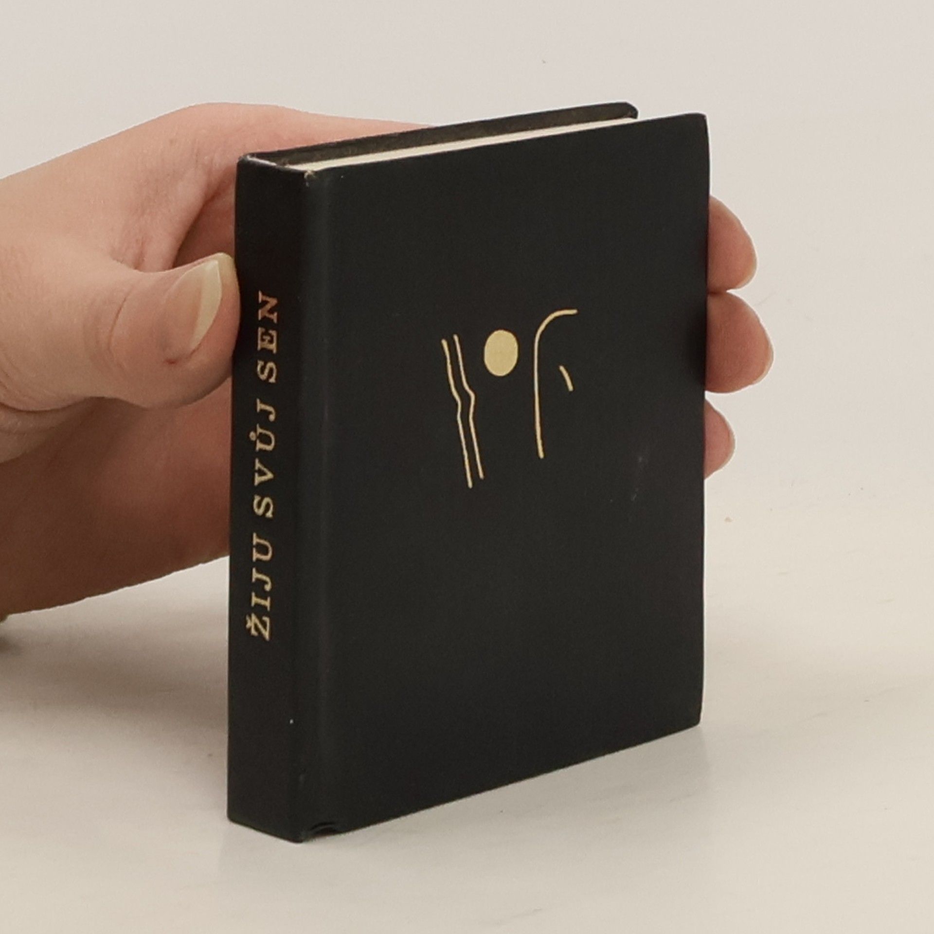 Simona Volková Žiju svůj sen