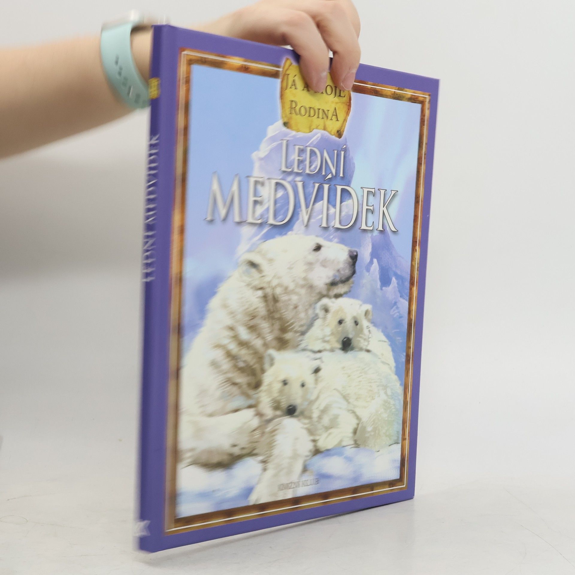 Ivona Březinová Lední medvídek