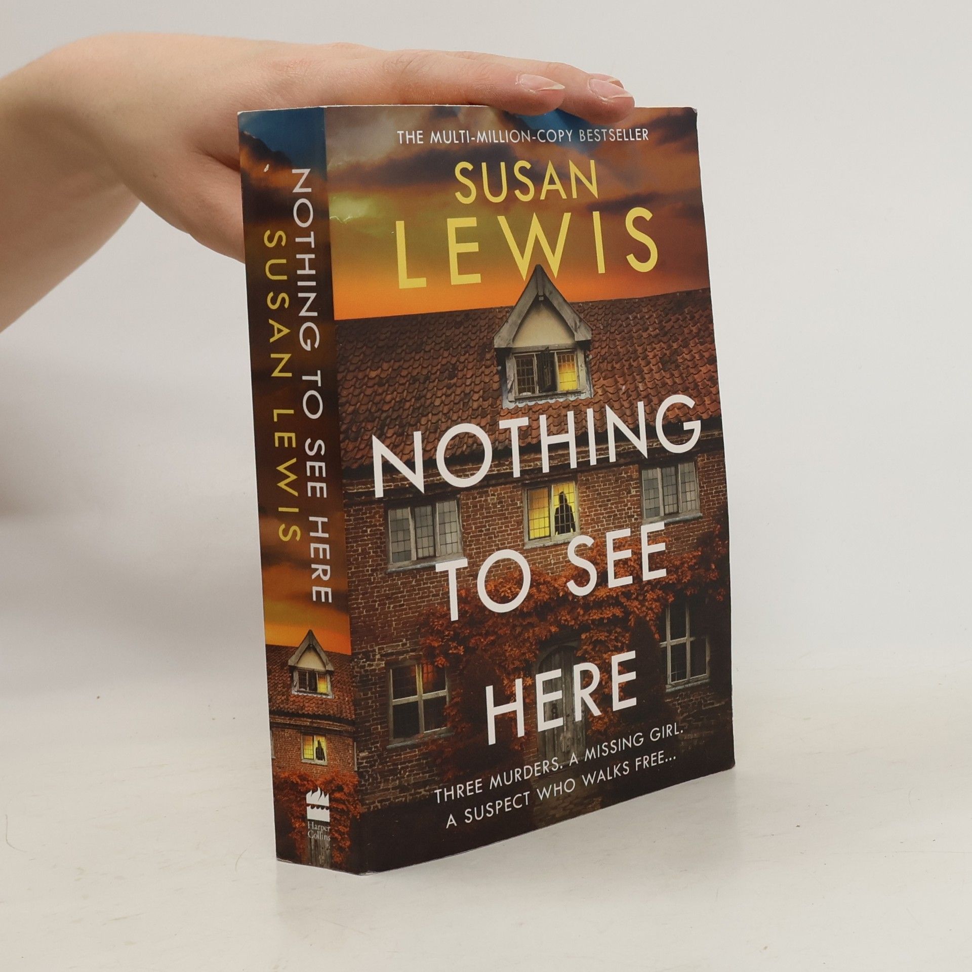 Susan Lewis Nothing to See Here