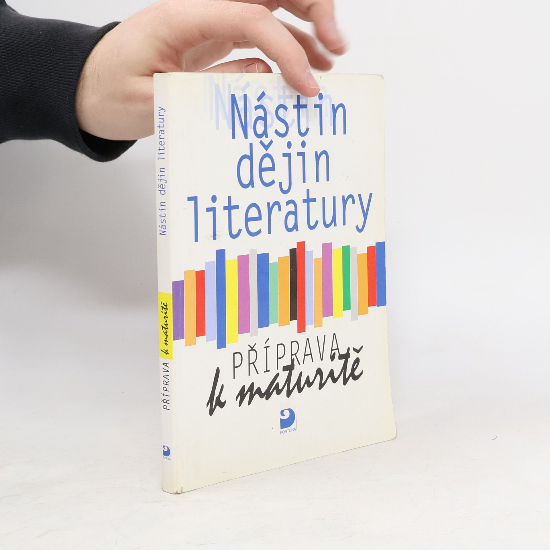 Nástin dějin literatury. Příprava k maturitě