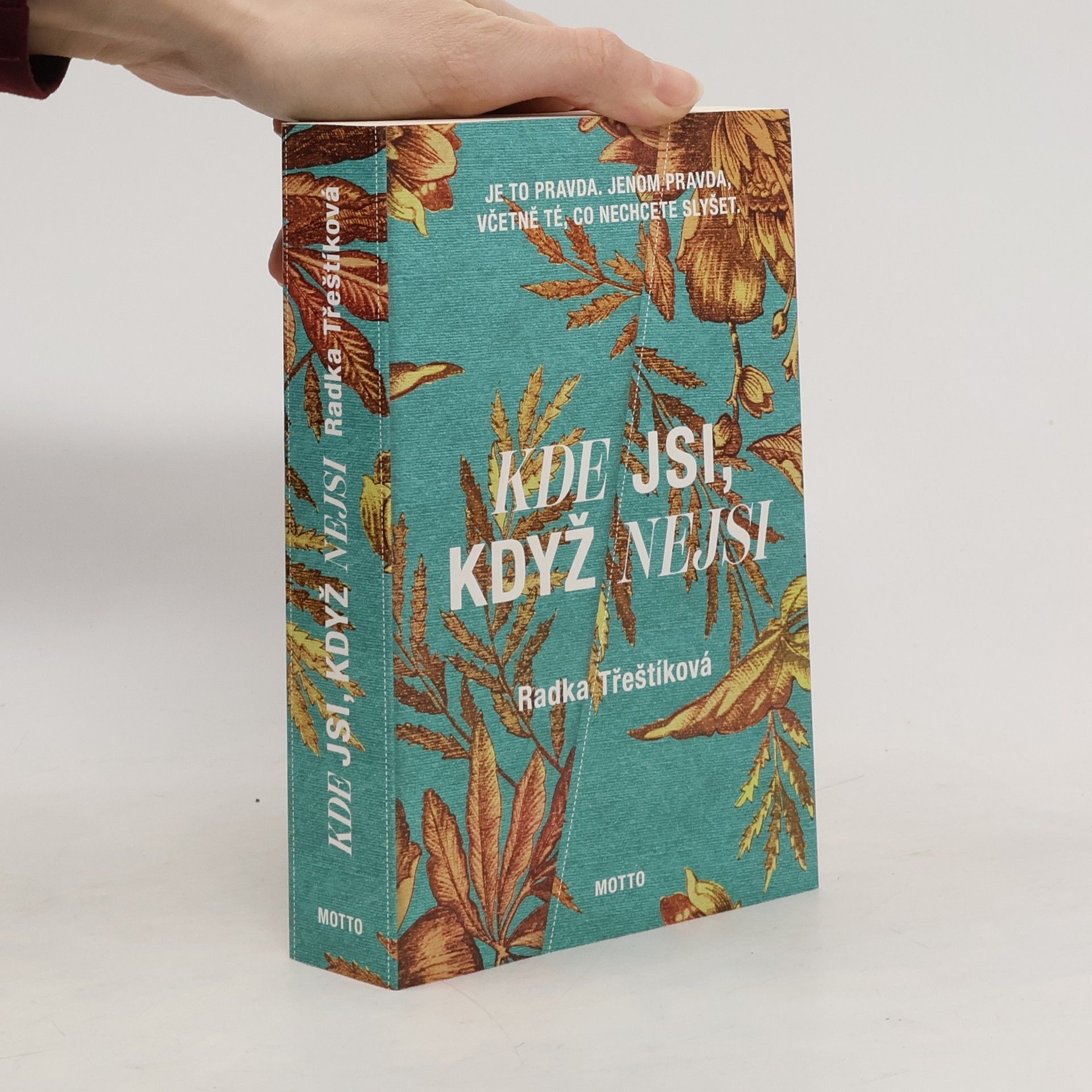 Radka Třeštíková Kde jsi, když nejsi