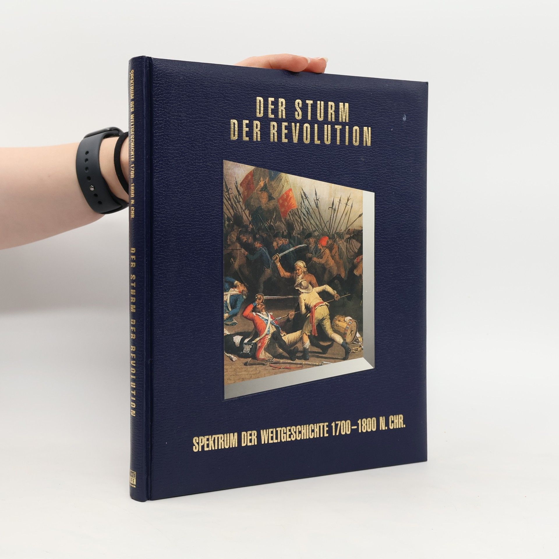 Der Sturm der Revolution