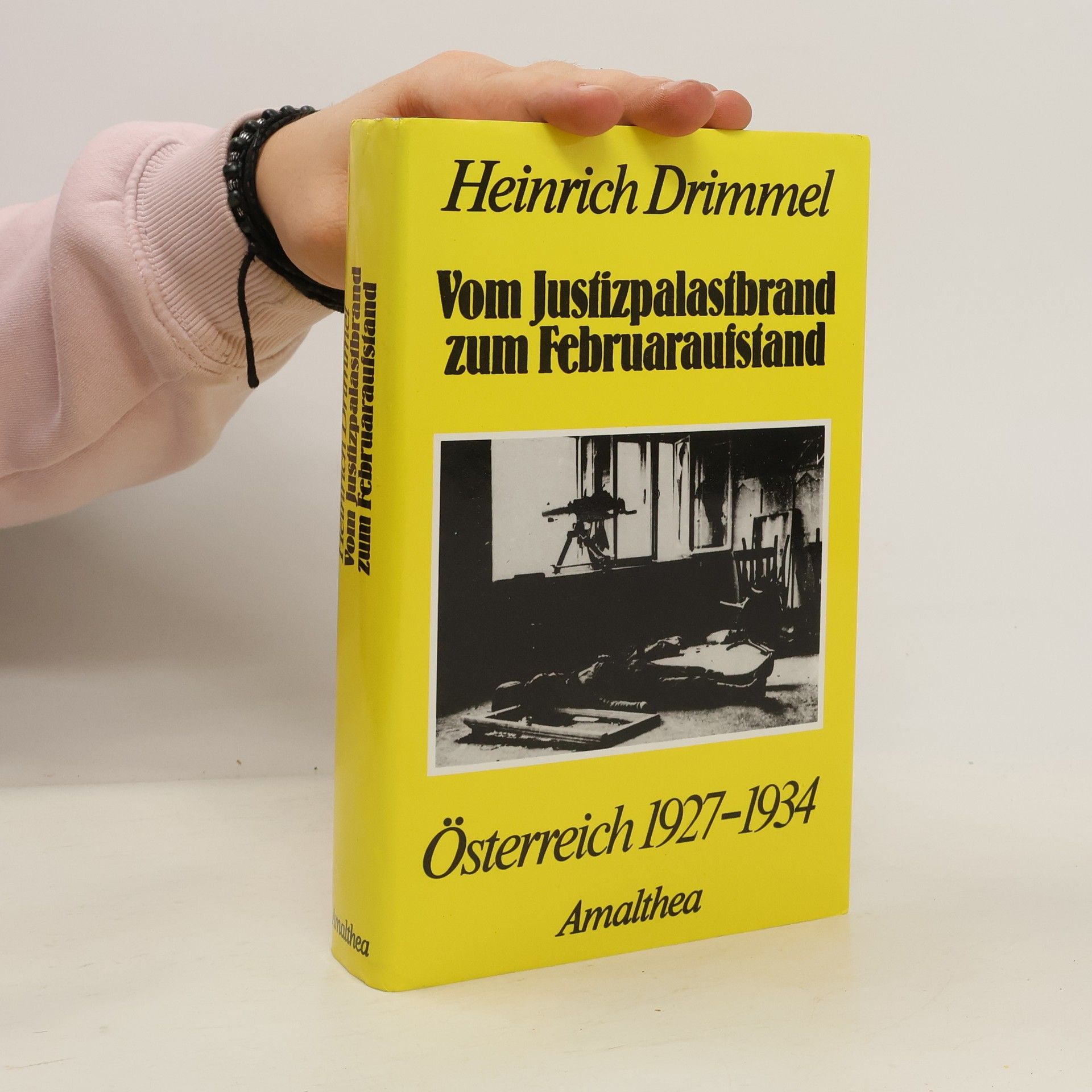 Heinrich Drimmel Vom Justizpalastbrand zum Februaraufstand