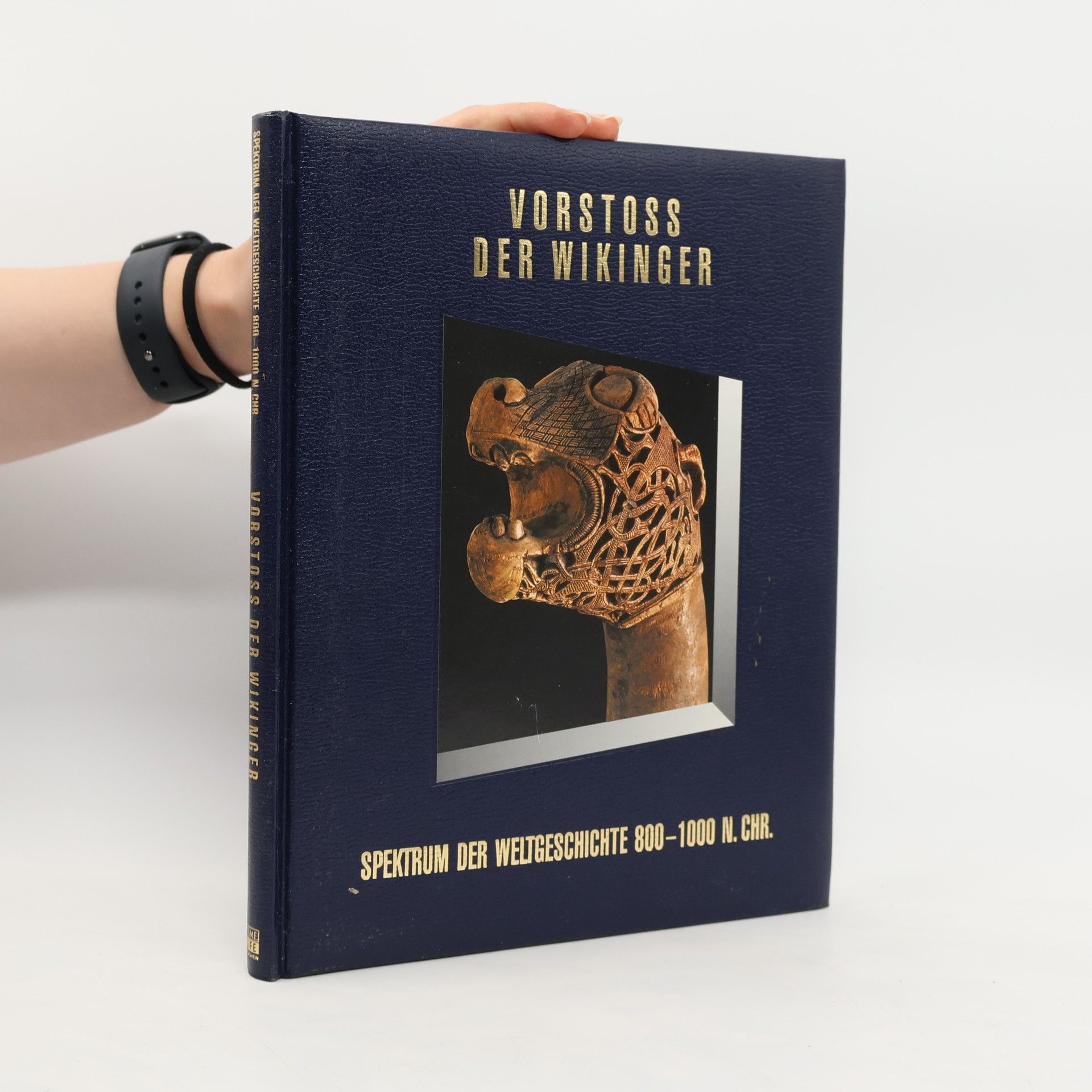 Vorstoss der Wikinger