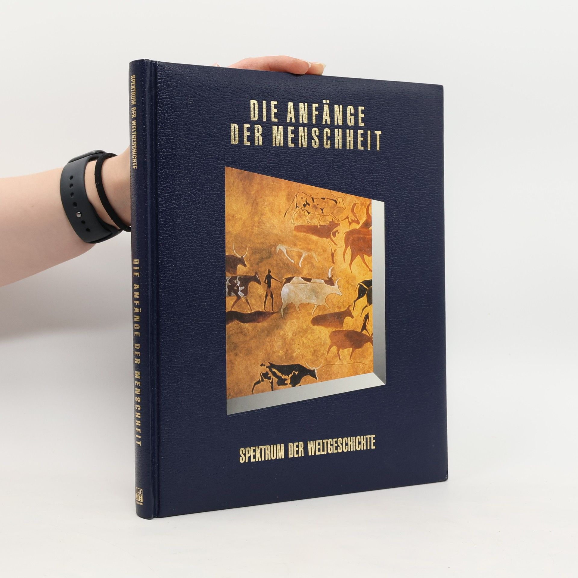 Chris Middleton Die Anfänge der Menschheit