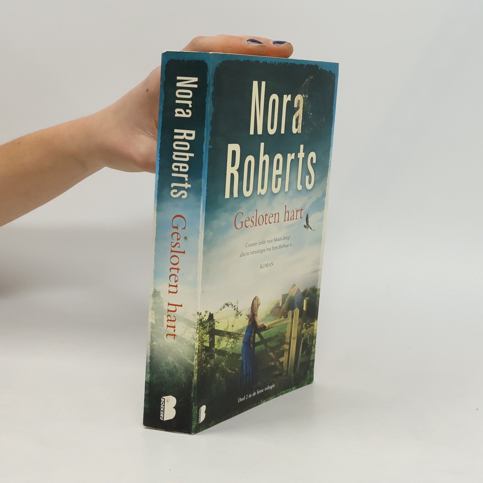 De Ierse trilogie - 2: Gesloten hart