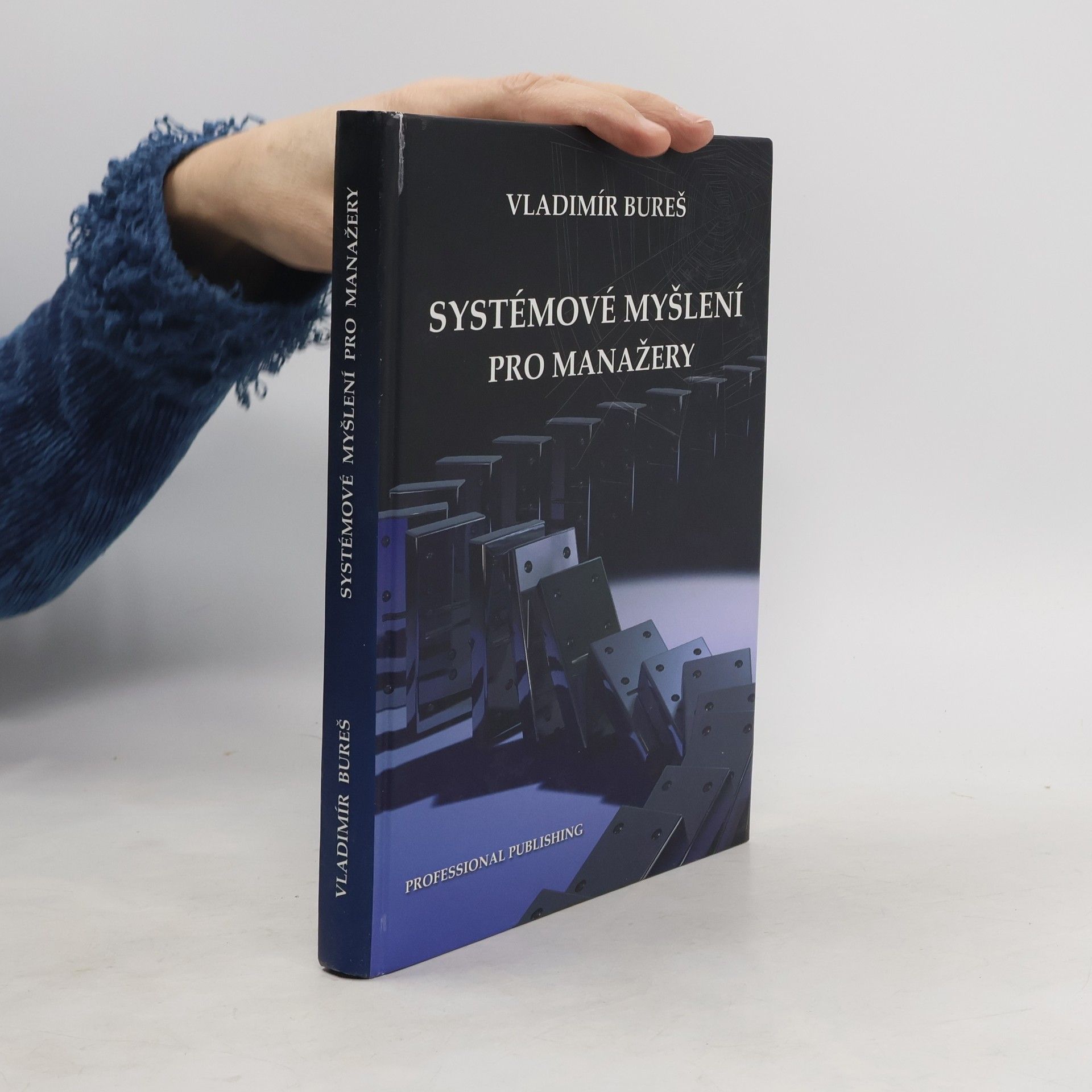 Systémové myšlení pro manažery